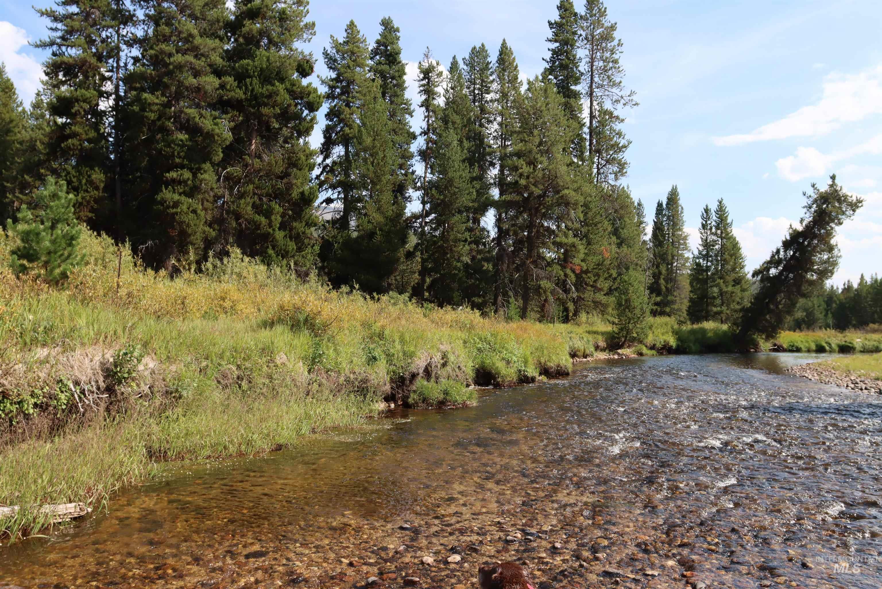 L49 Secesh River Road, McCall, Idaho 83638, Land For Sale, Price $225,000,MLS 98992255