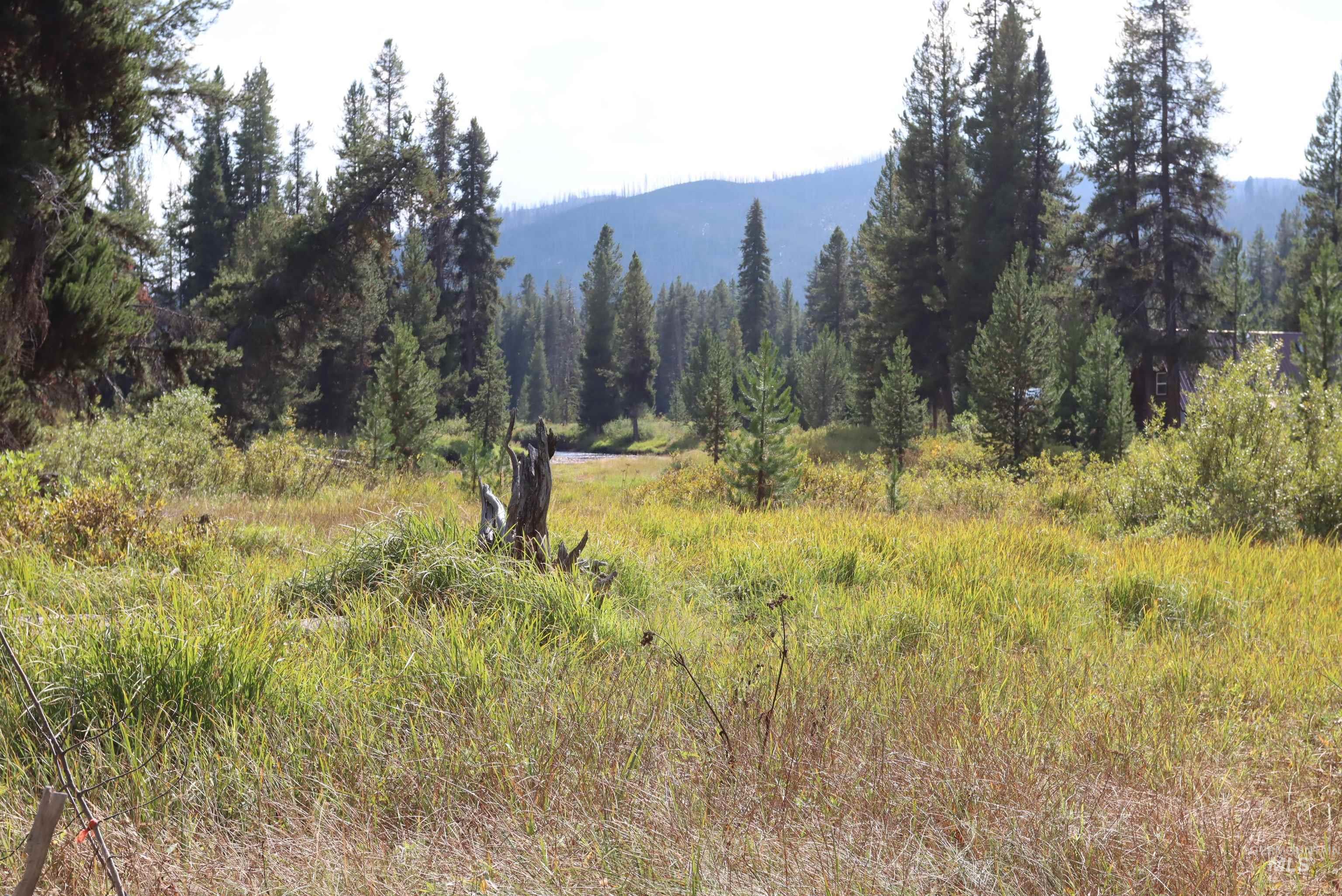 L49 Secesh River Road, McCall, Idaho 83638, Land For Sale, Price $225,000, 98992255