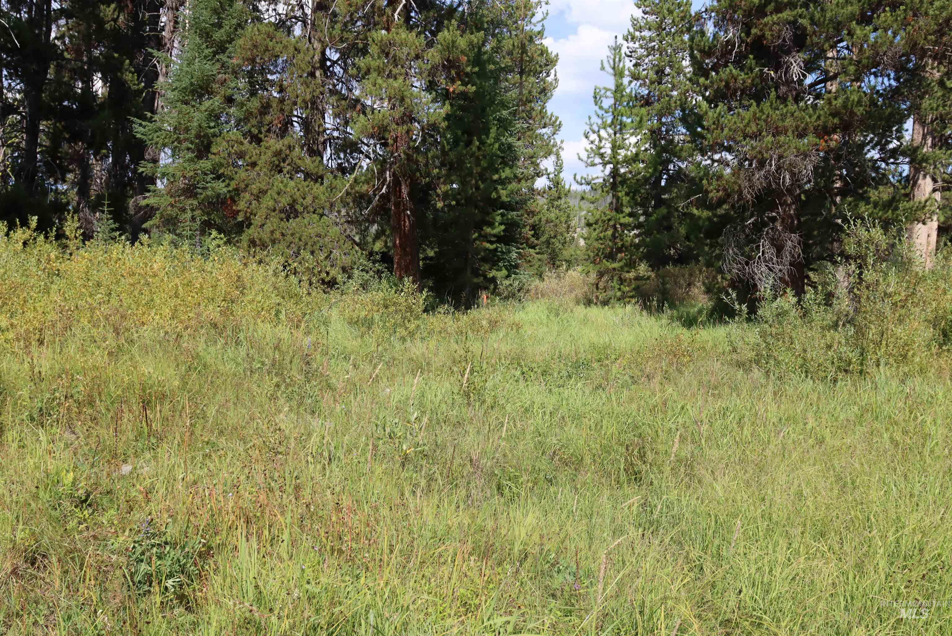 L49 Secesh River Road, McCall, Idaho 83638, Land For Sale, Price $225,000, 98992255