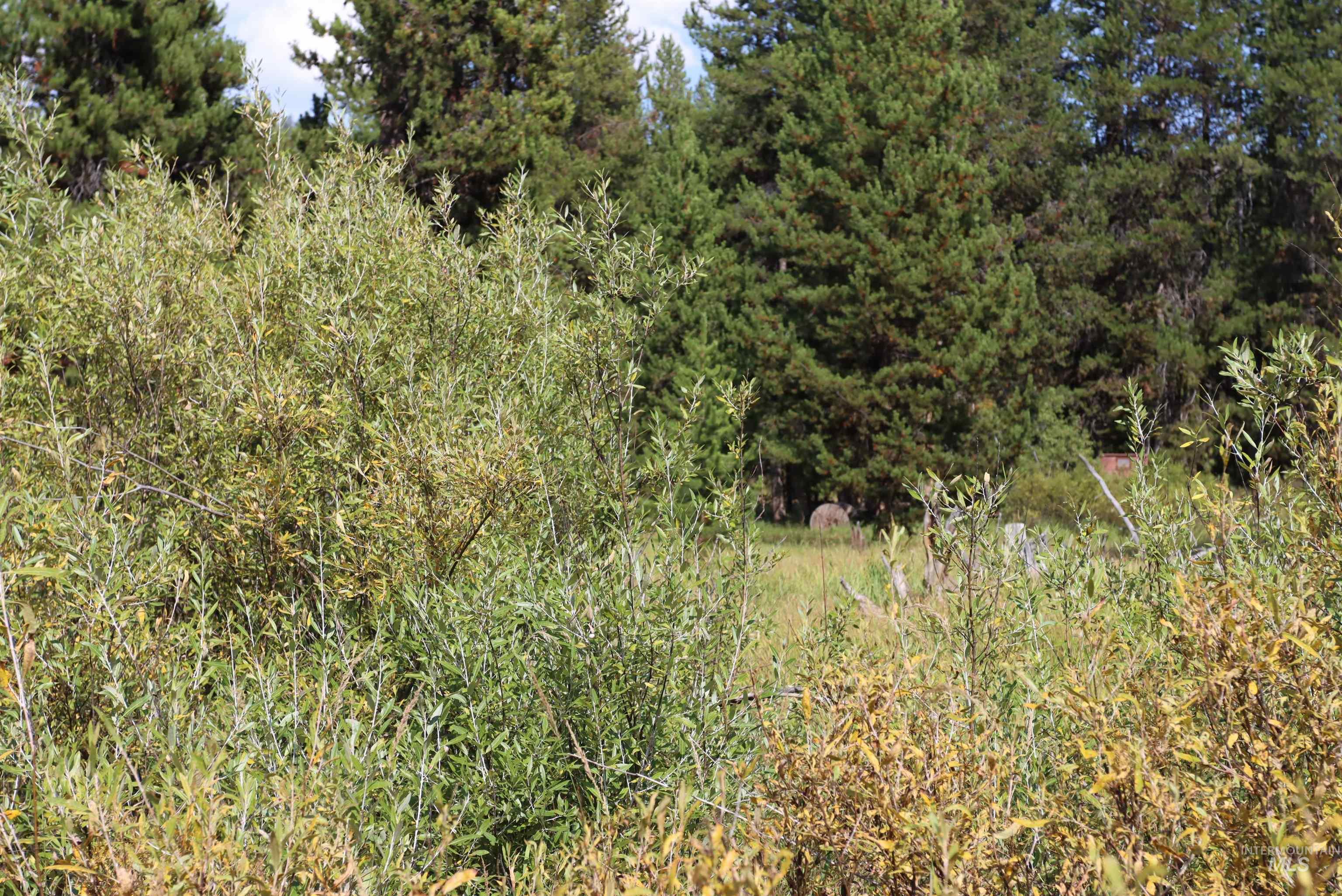 L49 Secesh River Road, McCall, Idaho 83638, Land For Sale, Price $225,000, 98992255