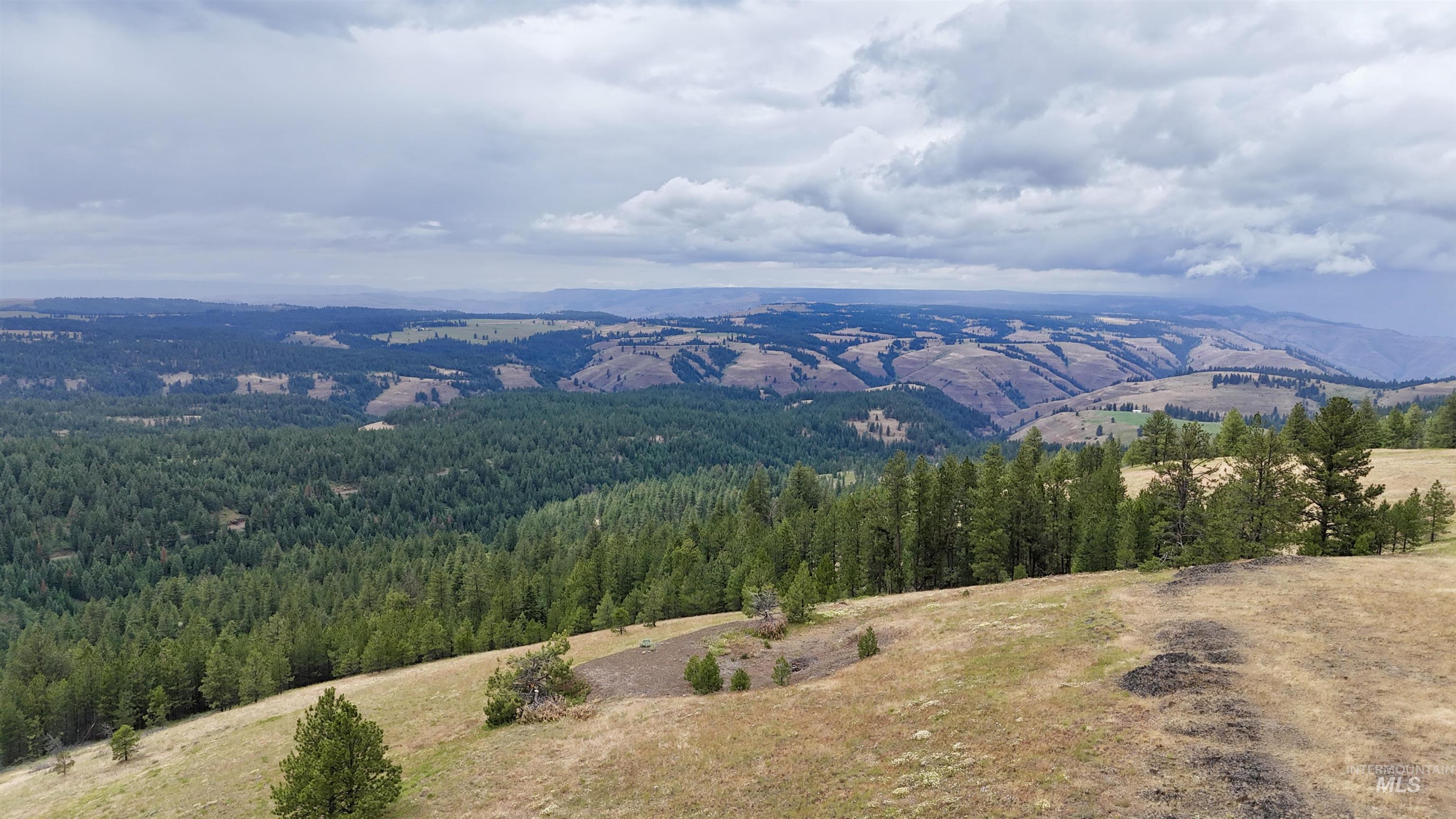 Lot 91 TBD Pilgrim Ridge Road, White Bird, Idaho 83554, Land For Sale, Price $127,000,MLS 98992273