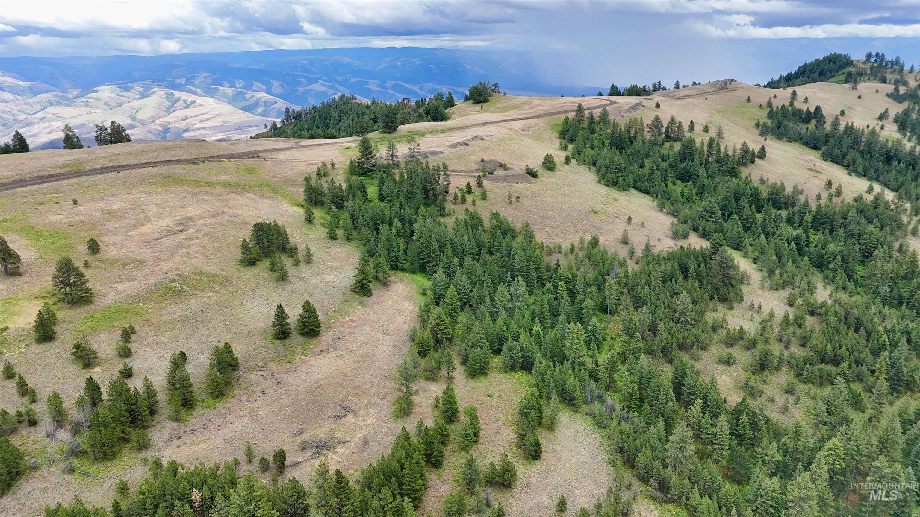 Lot 91 TBD Pilgrim Ridge Road, White Bird, Idaho 83554, Land For Sale, Price $127,000,MLS 98992273