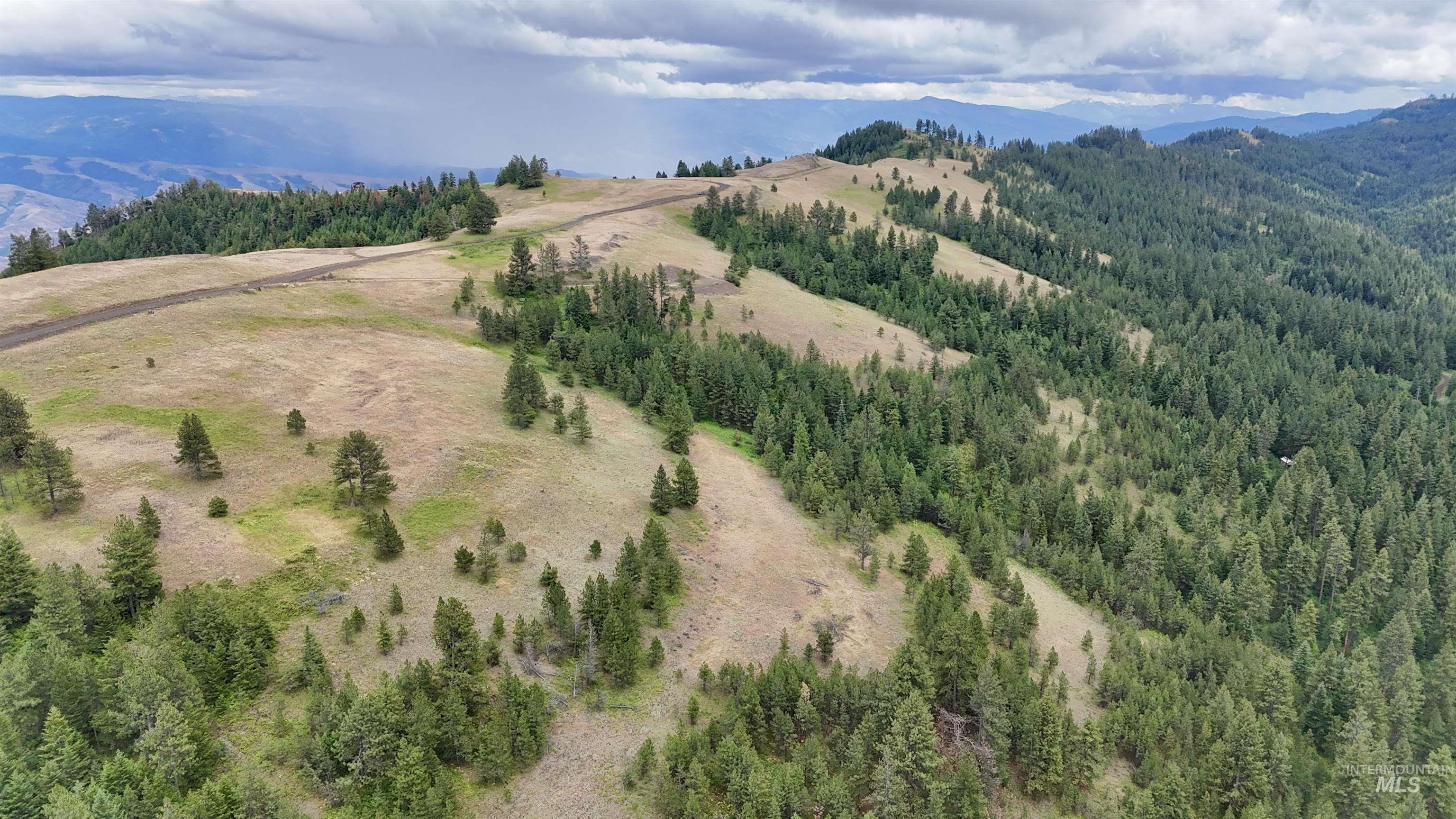 Lot 91 TBD Pilgrim Ridge Road, White Bird, Idaho 83554, Land For Sale, Price $127,000,MLS 98992273