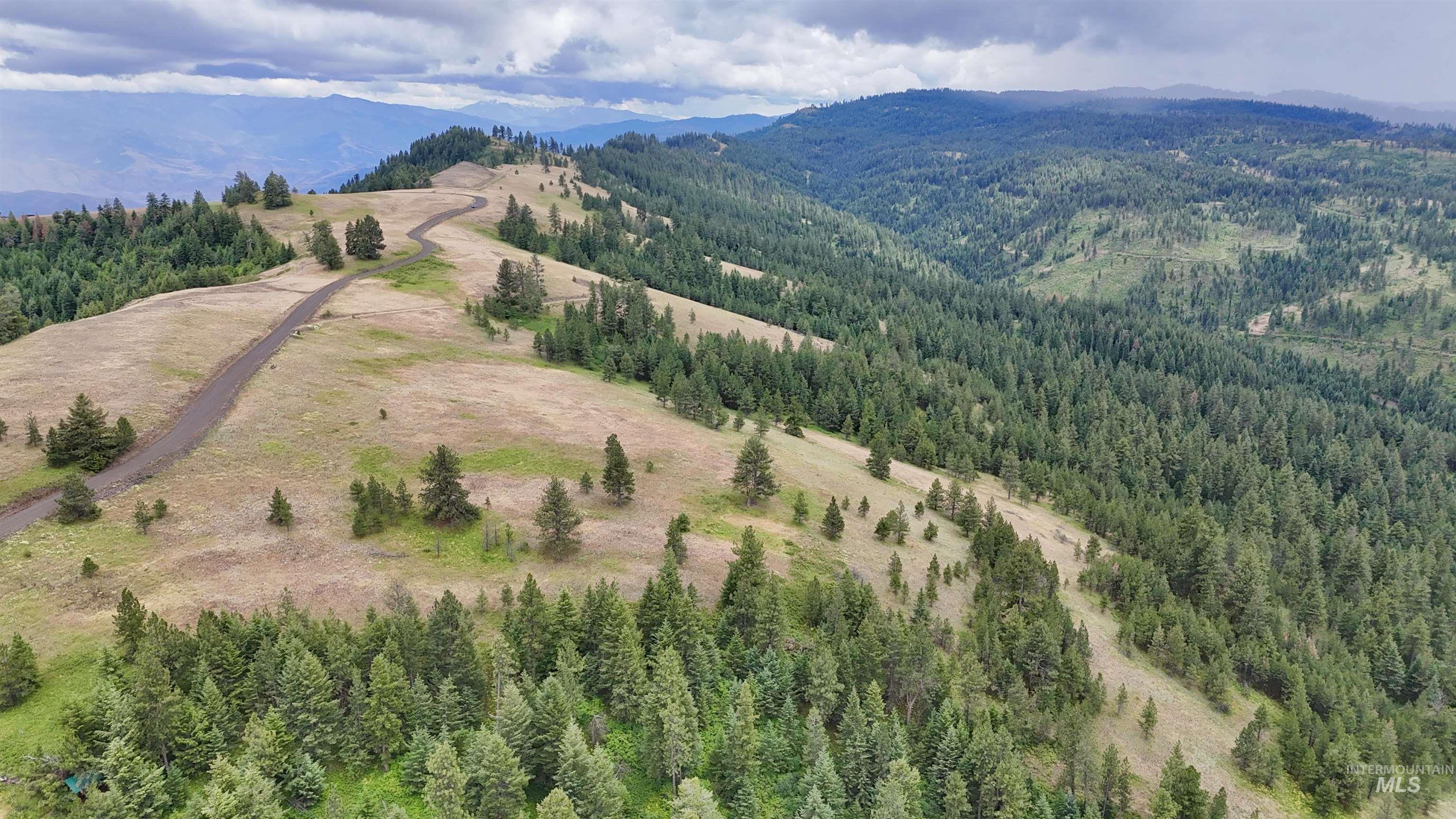Lot 91 TBD Pilgrim Ridge Road, White Bird, Idaho 83554, Land For Sale, Price $127,000,MLS 98992273