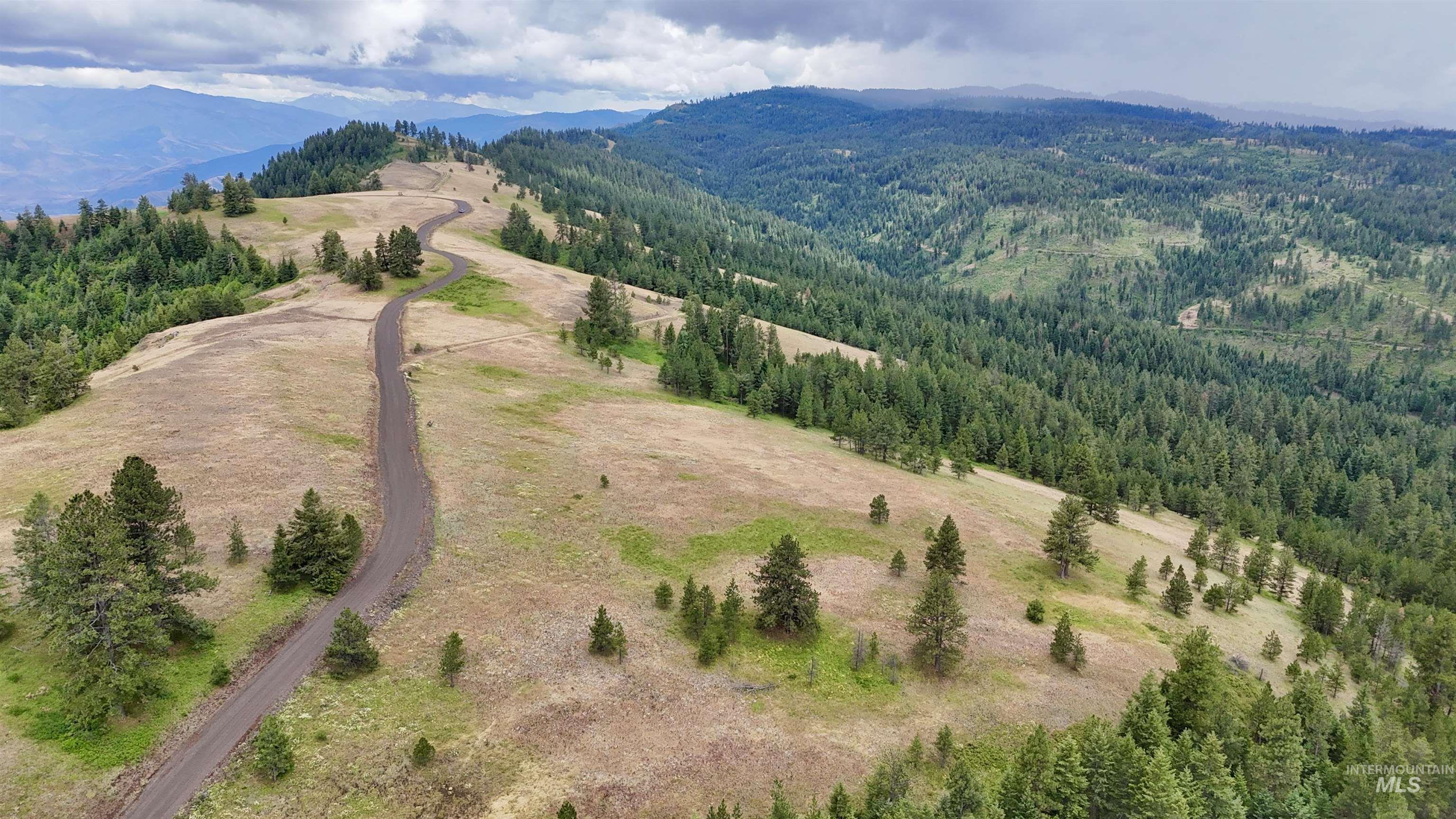Lot 91 TBD Pilgrim Ridge Road, White Bird, Idaho 83554, Land For Sale, Price $127,000,MLS 98992273