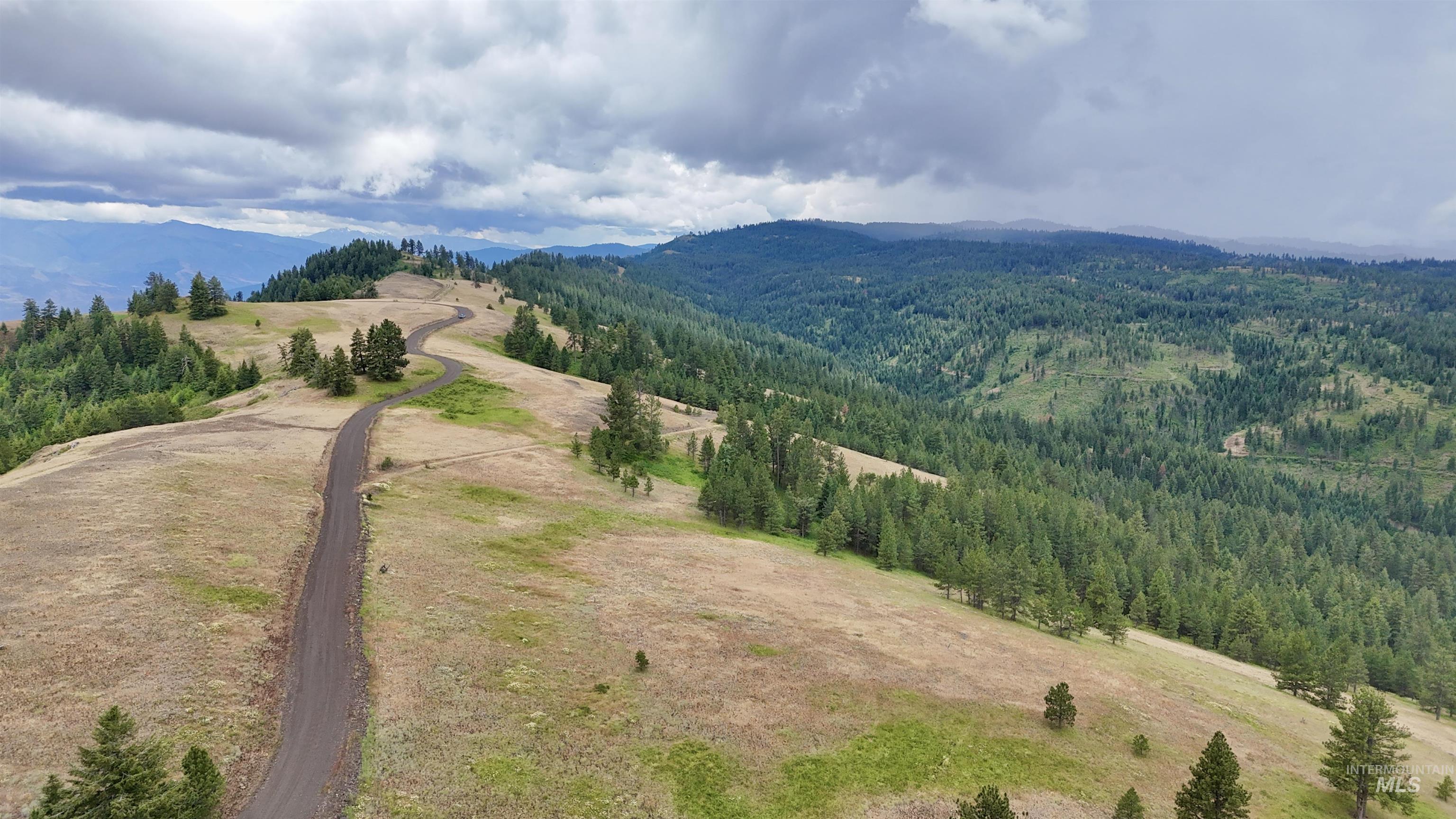 Lot 91 TBD Pilgrim Ridge Road, White Bird, Idaho 83554, Land For Sale, Price $127,000,MLS 98992273