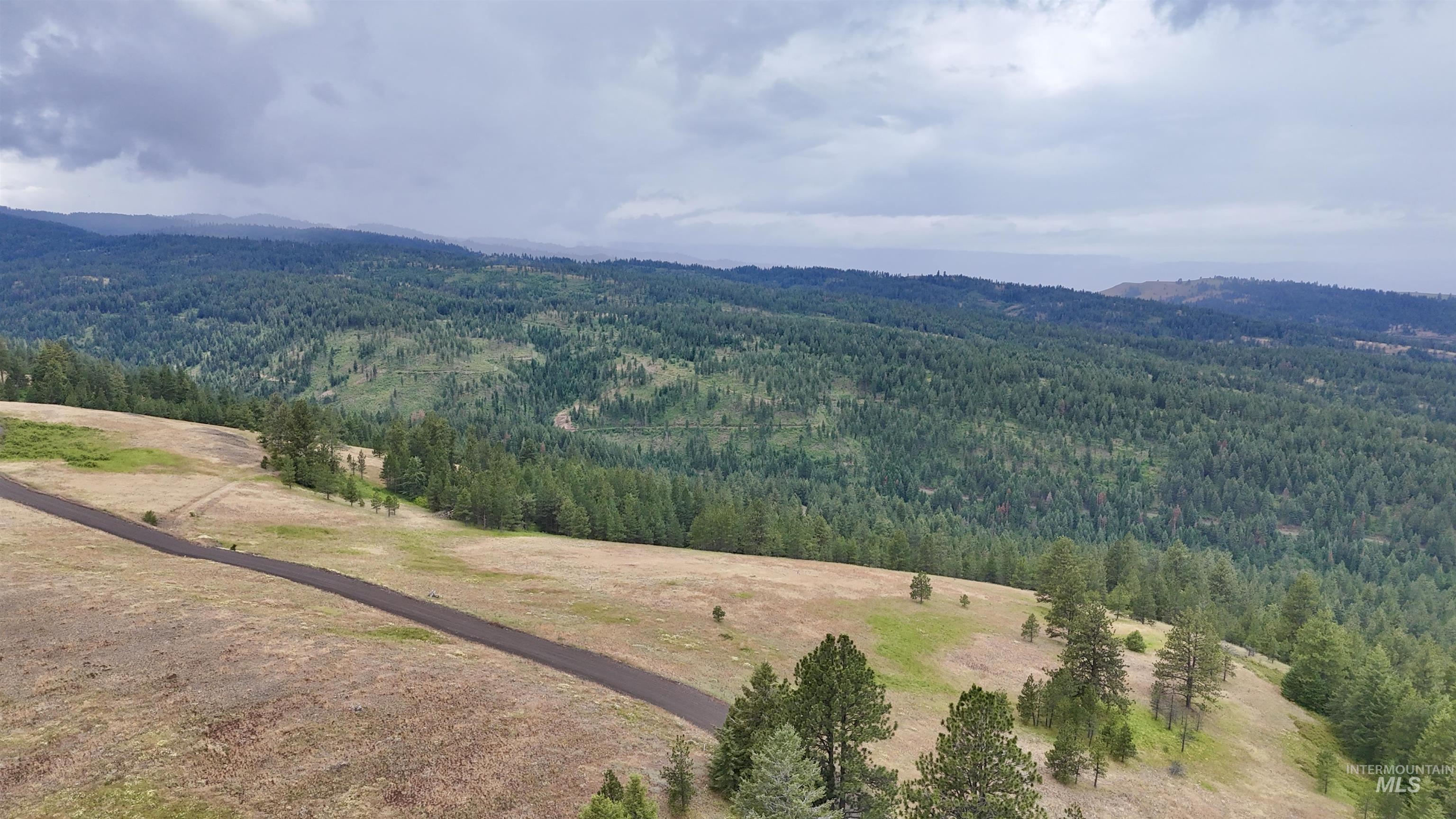 Lot 91 TBD Pilgrim Ridge Road, White Bird, Idaho 83554, Land For Sale, Price $127,000,MLS 98992273