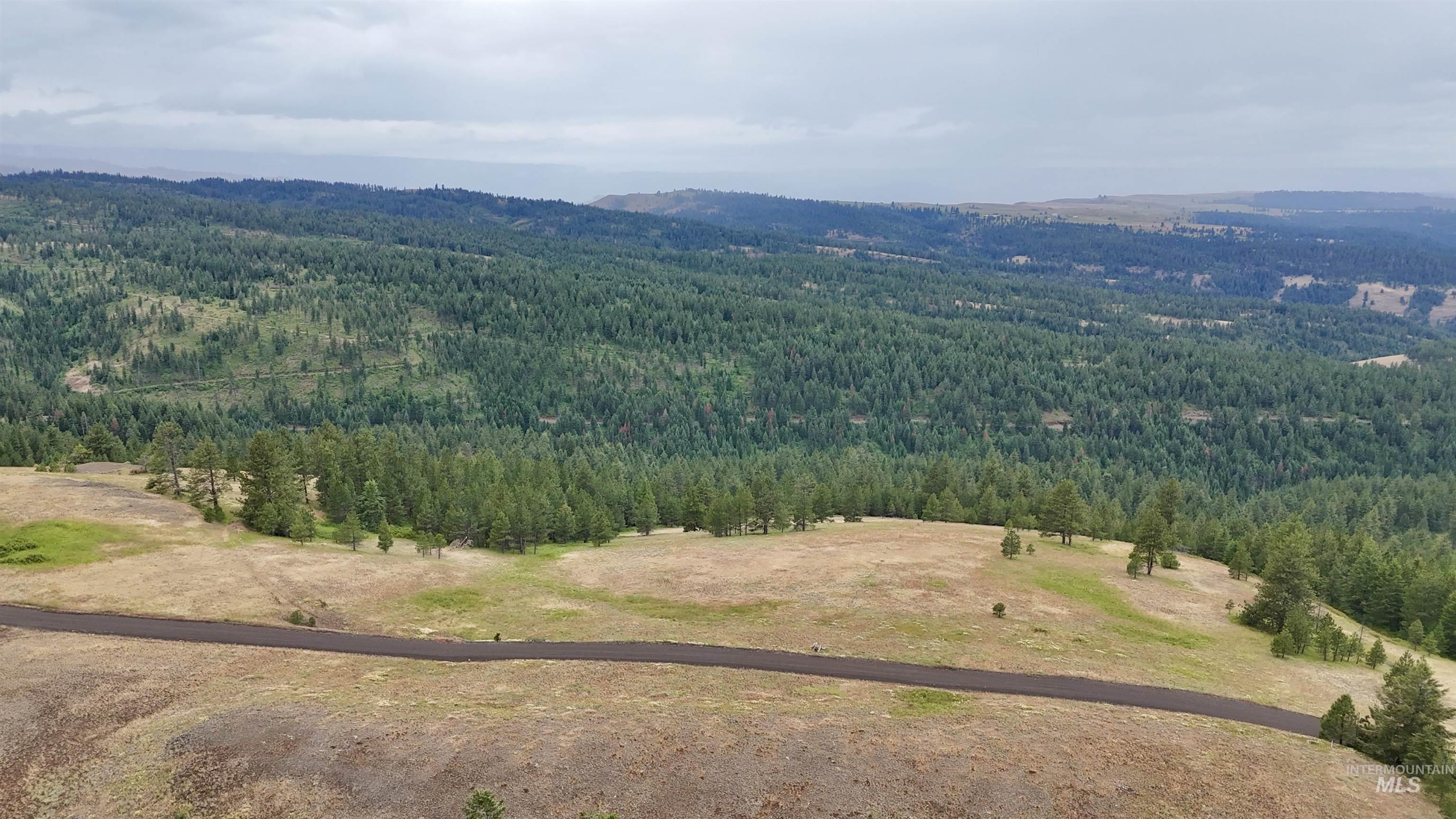 Lot 91 TBD Pilgrim Ridge Road, White Bird, Idaho 83554, Land For Sale, Price $127,000,MLS 98992273