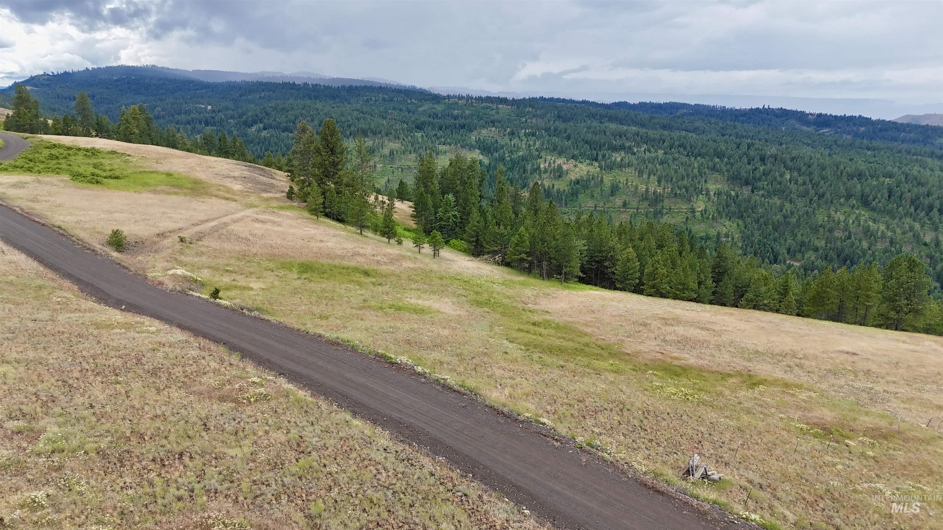 Lot 91 TBD Pilgrim Ridge Road, White Bird, Idaho 83554, Land For Sale, Price $127,000,MLS 98992273