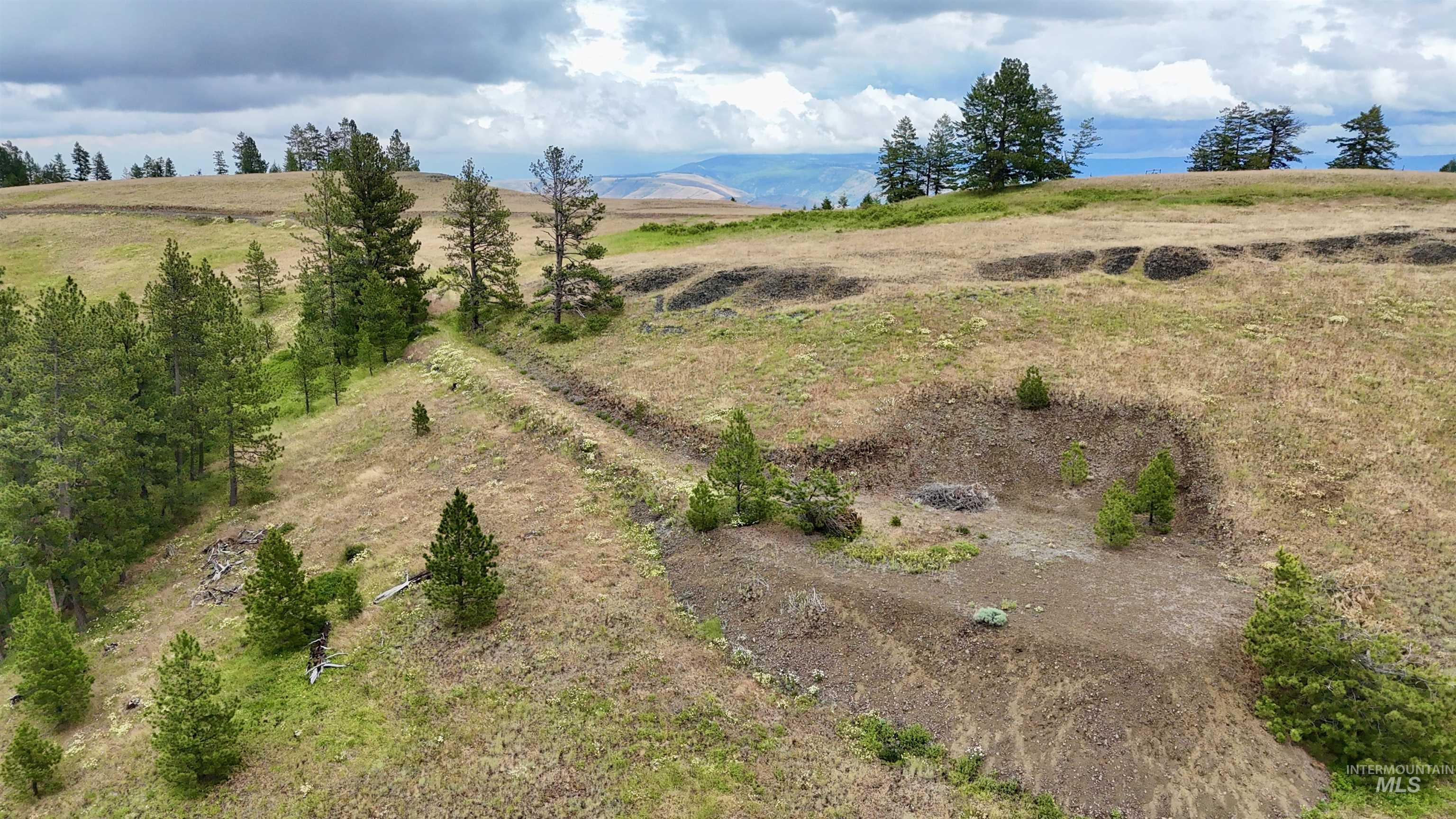 Lot 91 TBD Pilgrim Ridge Road, White Bird, Idaho 83554, Land For Sale, Price $127,000,MLS 98992273