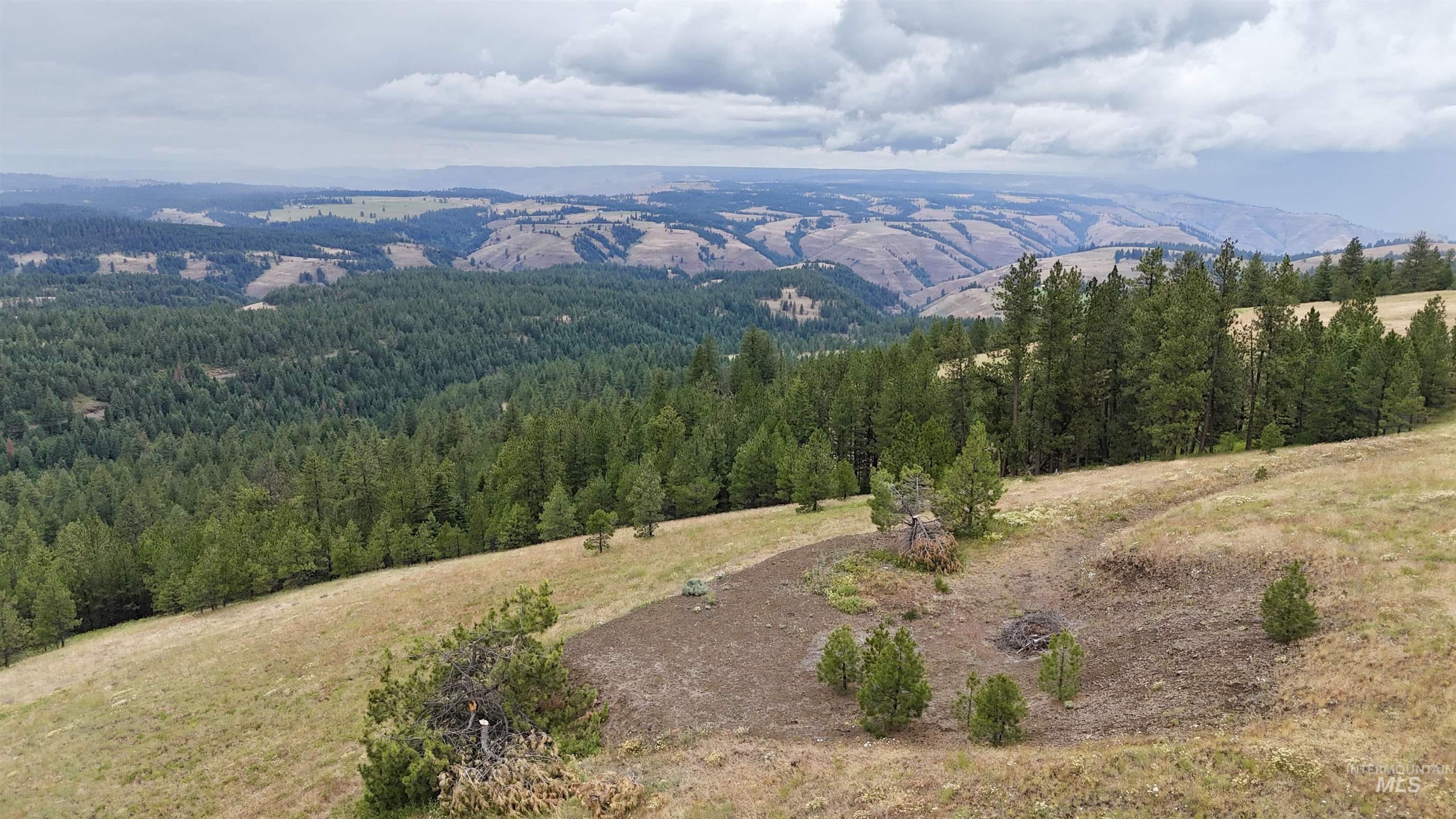 Lot 91 TBD Pilgrim Ridge Road, White Bird, Idaho 83554, Land For Sale, Price $127,000,MLS 98992273
