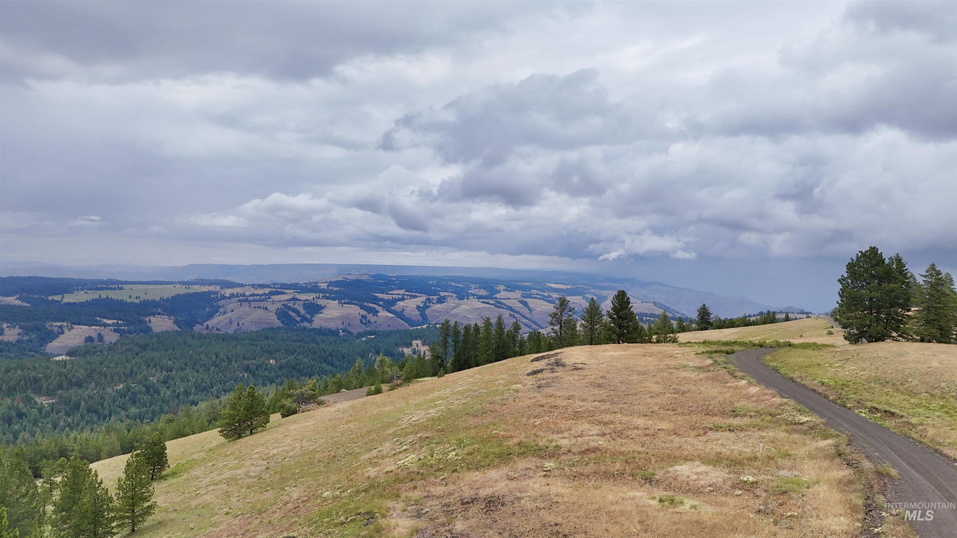 Lot 91 TBD Pilgrim Ridge Road, White Bird, Idaho 83554, Land For Sale, Price $127,000,MLS 98992273