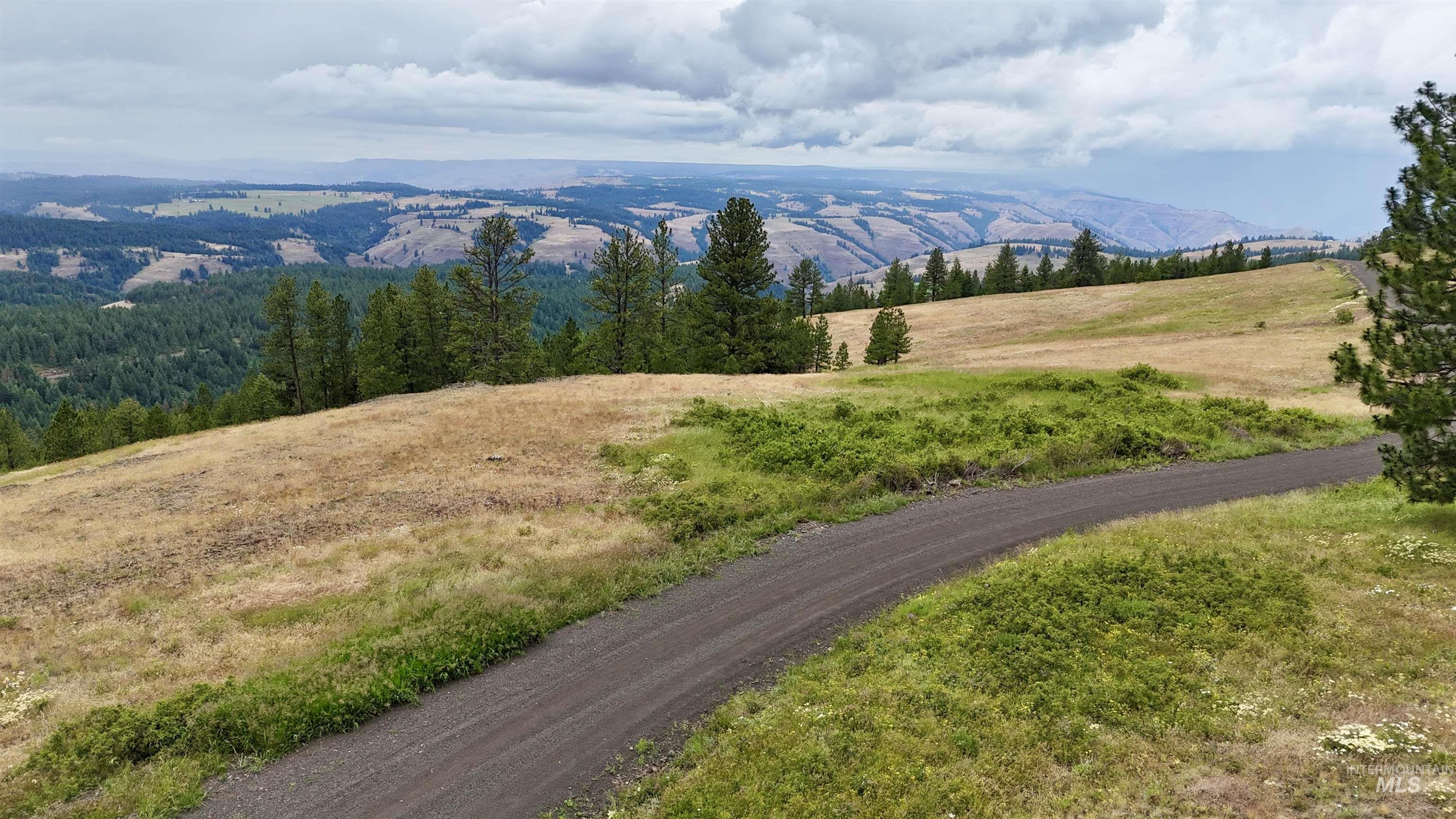 Lot 91 TBD Pilgrim Ridge Road, White Bird, Idaho 83554, Land For Sale, Price $127,000,MLS 98992273