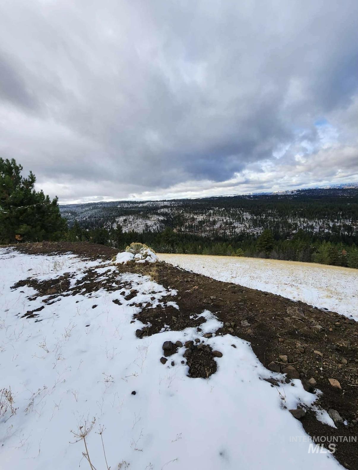 Lot 91 TBD Pilgrim Ridge Road, White Bird, Idaho 83554, Land For Sale, Price $127,000,MLS 98992273