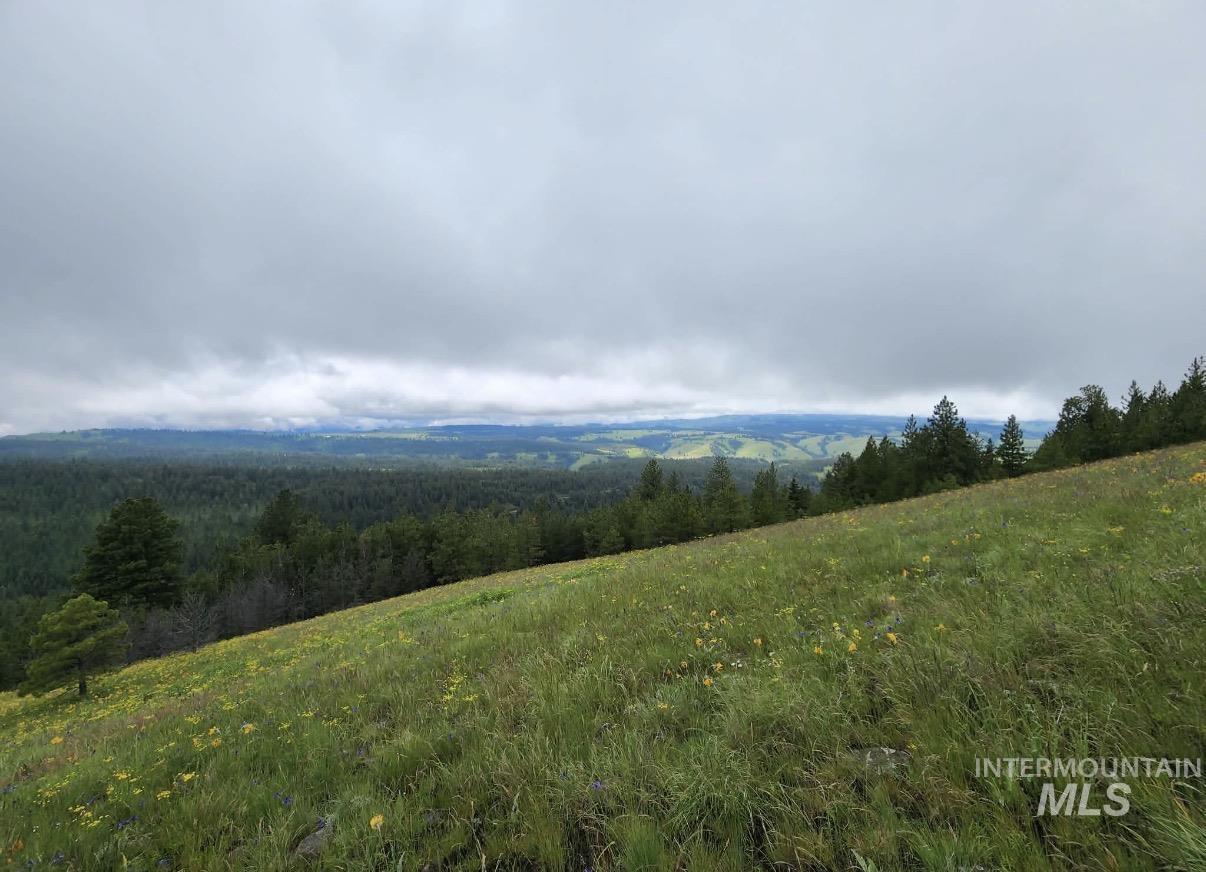 Lot 91 TBD Pilgrim Ridge Road, White Bird, Idaho 83554, Land For Sale, Price $127,000,MLS 98992273