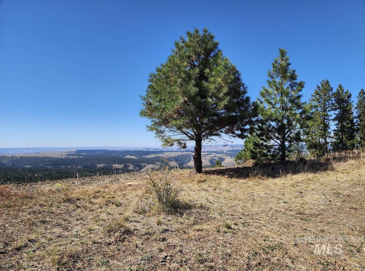 Lot 91 TBD Pilgrim Ridge Road, White Bird, Idaho 83554, Land For Sale, Price $127,000,MLS 98992273