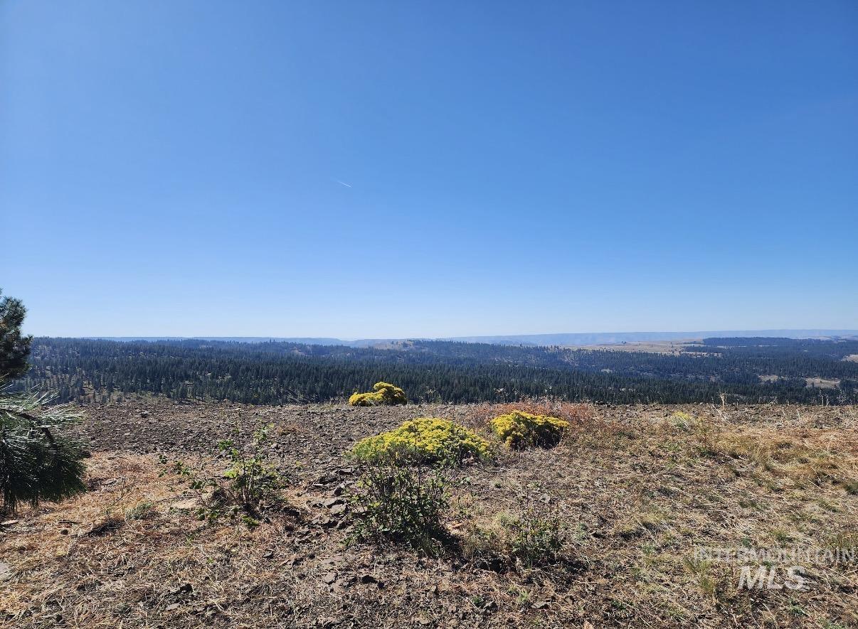Lot 91 TBD Pilgrim Ridge Road, White Bird, Idaho 83554, Land For Sale, Price $127,000,MLS 98992273