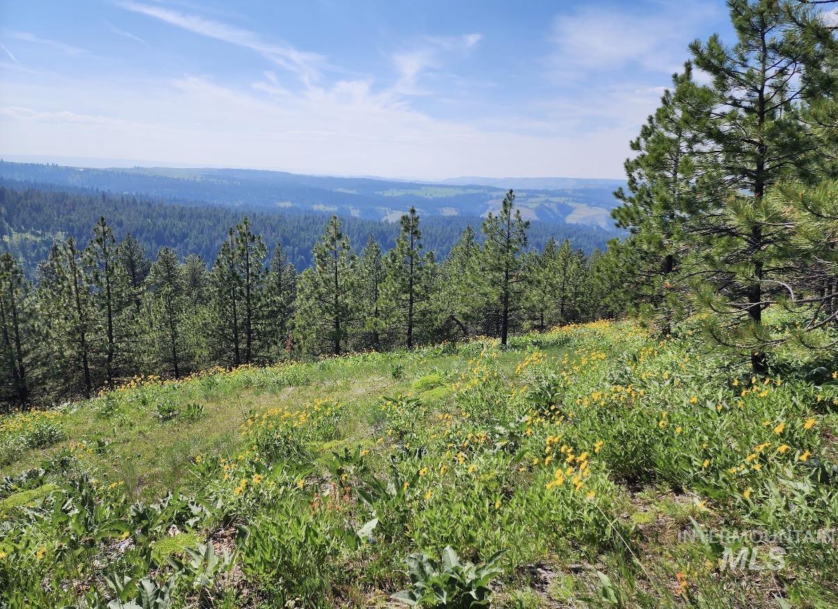 Lot 91 TBD Pilgrim Ridge Road, White Bird, Idaho 83554, Land For Sale, Price $127,000,MLS 98992273