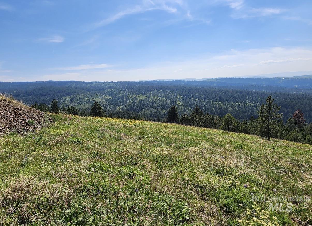 Lot 91 TBD Pilgrim Ridge Road, White Bird, Idaho 83554, Land For Sale, Price $127,000,MLS 98992273