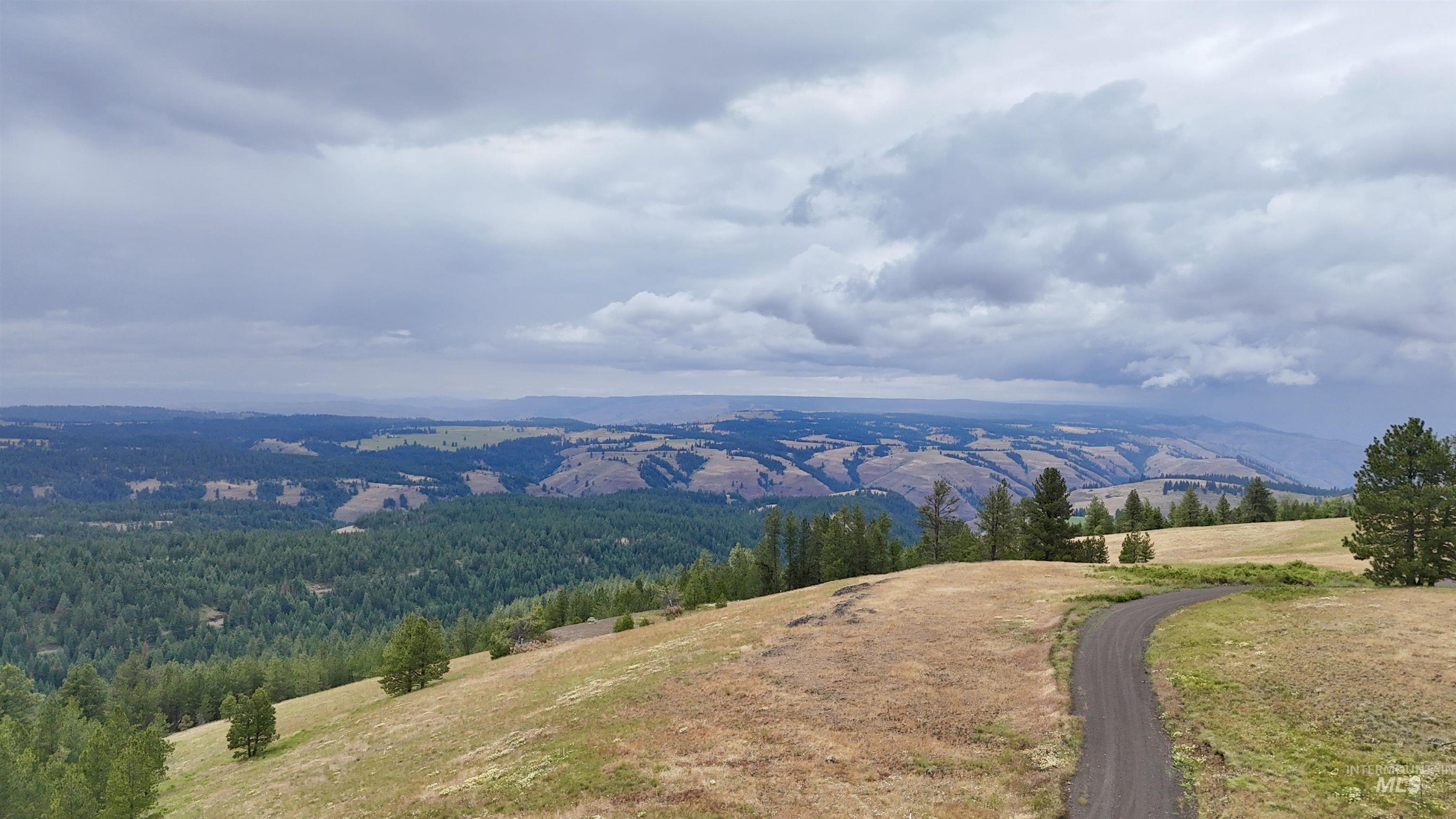 Lot 91 TBD Pilgrim Ridge Road, White Bird, Idaho 83554, Land For Sale, Price $127,000,MLS 98992273