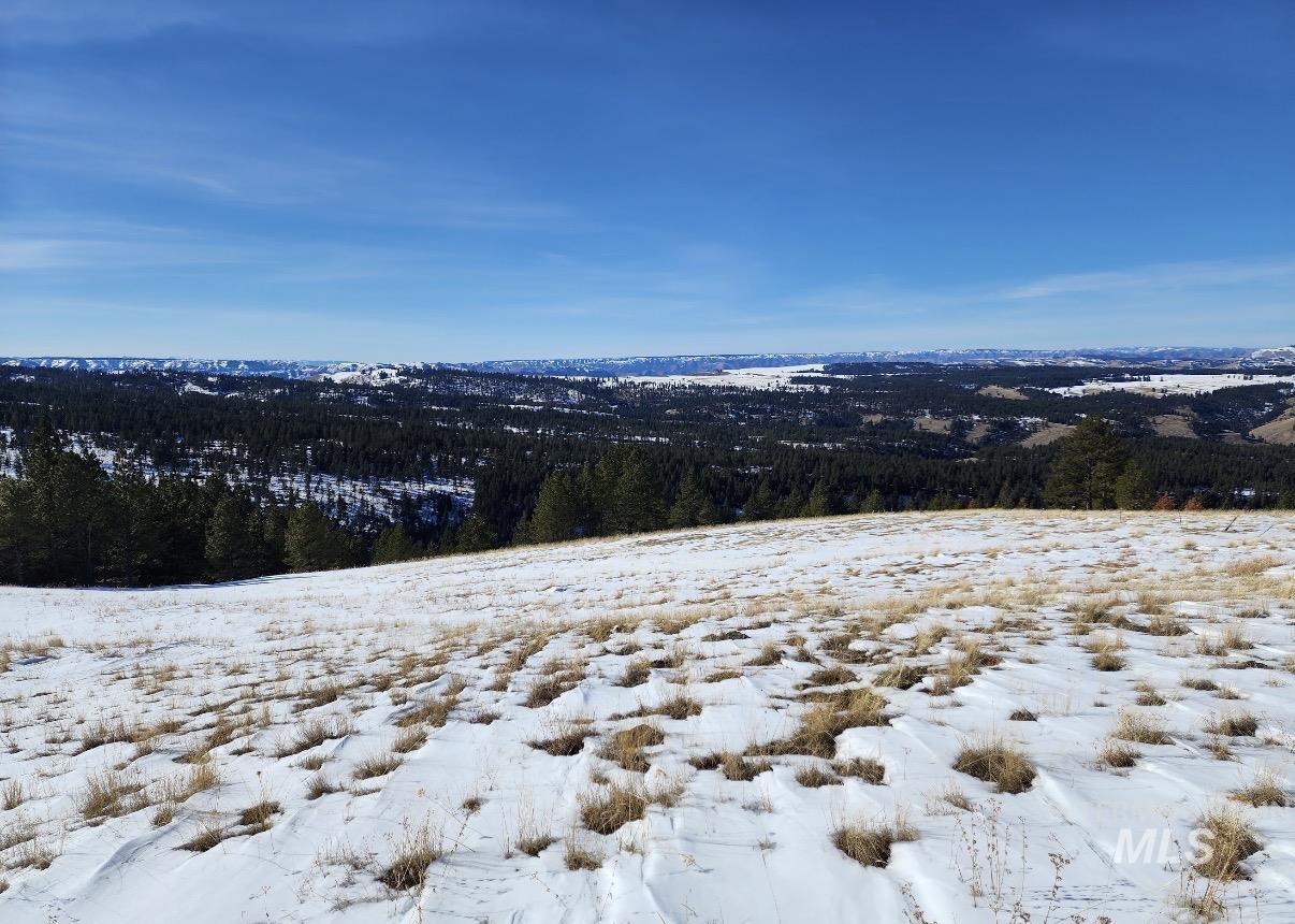 Lot 91 TBD Pilgrim Ridge Road, White Bird, Idaho 83554, Land For Sale, Price $127,000,MLS 98992273