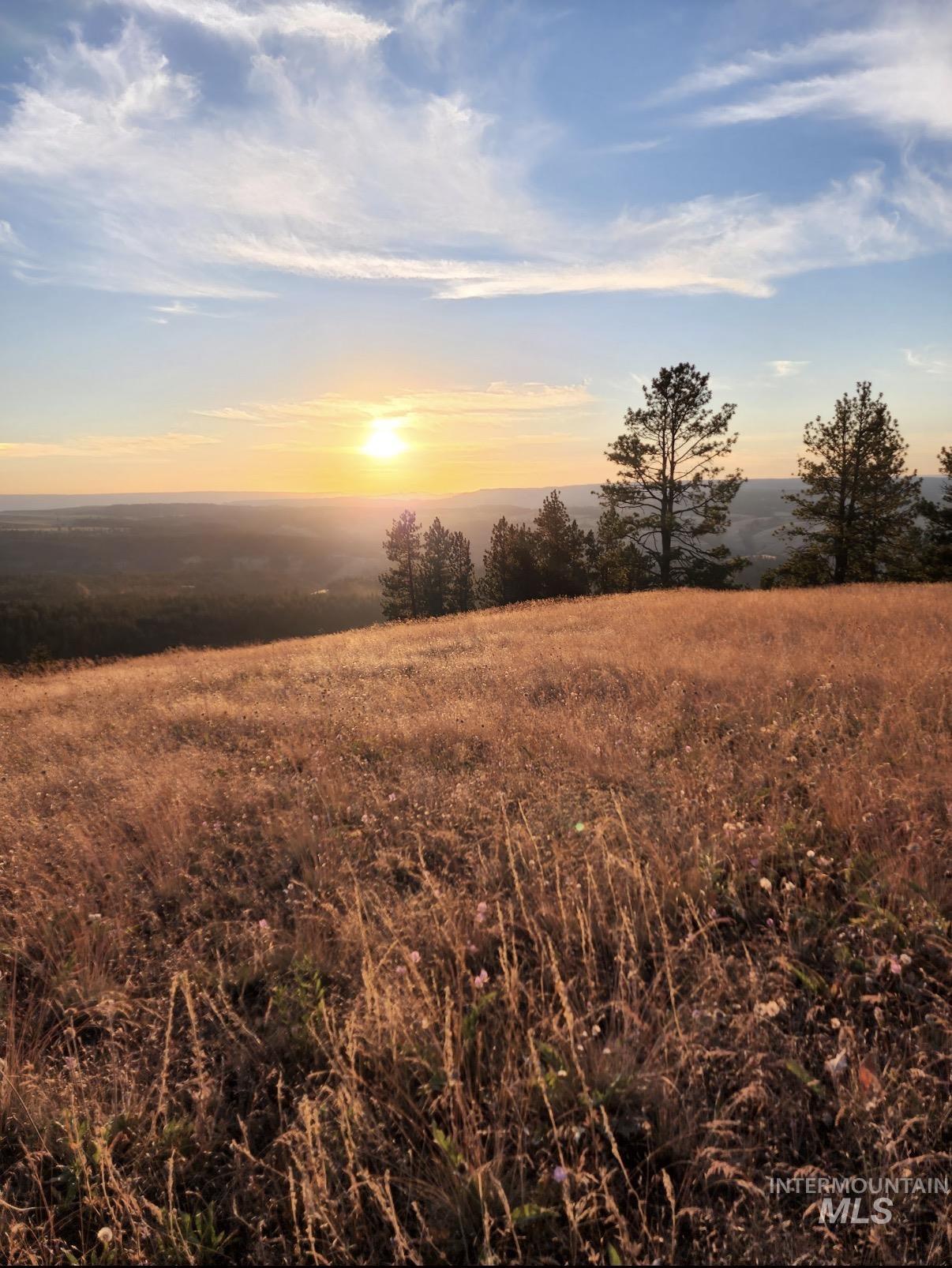 Lot 91 TBD Pilgrim Ridge Road, White Bird, Idaho 83554, Land For Sale, Price $127,000,MLS 98992273