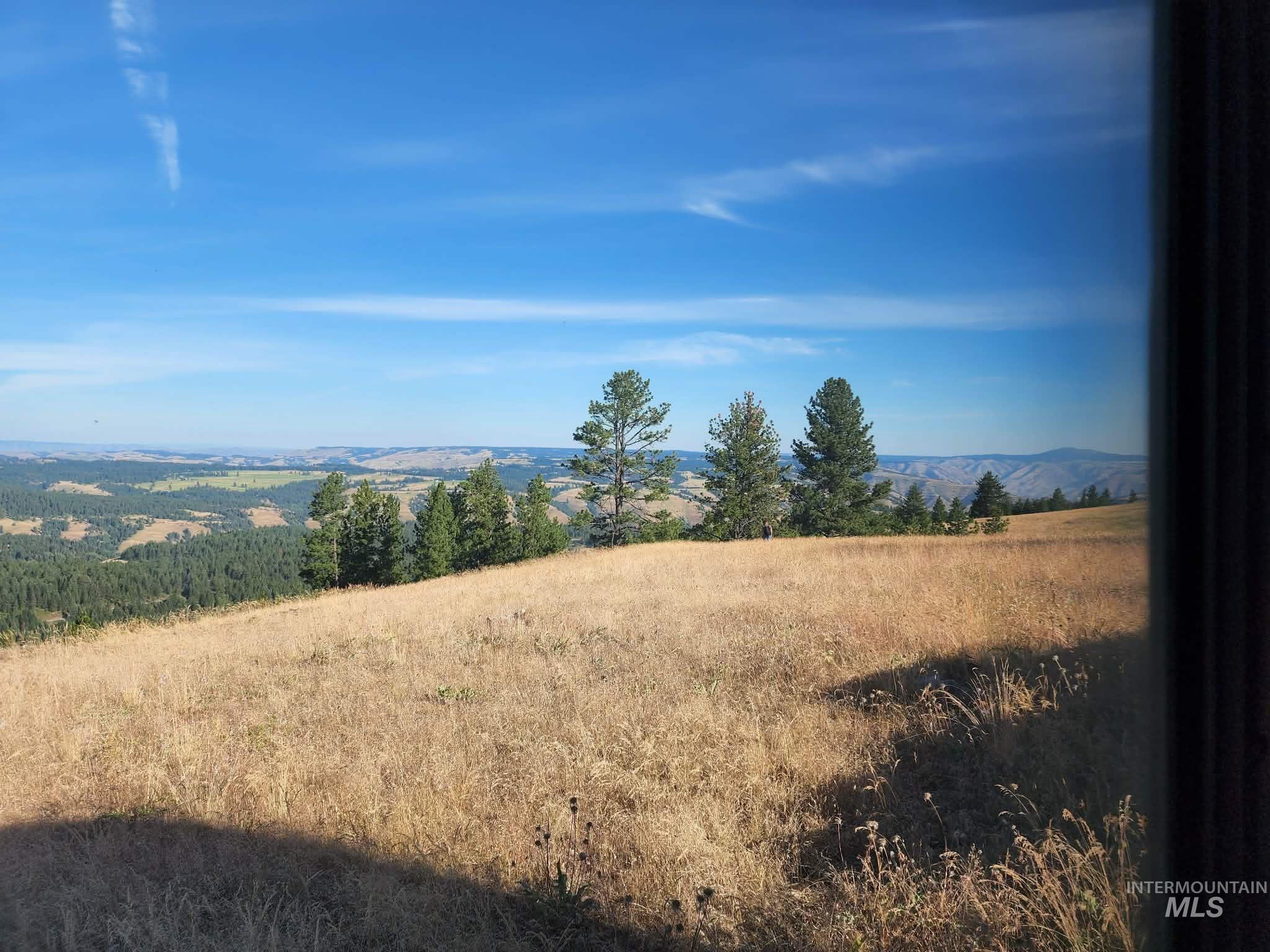 Lot 91 TBD Pilgrim Ridge Road, White Bird, Idaho 83554, Land For Sale, Price $127,000,MLS 98992273