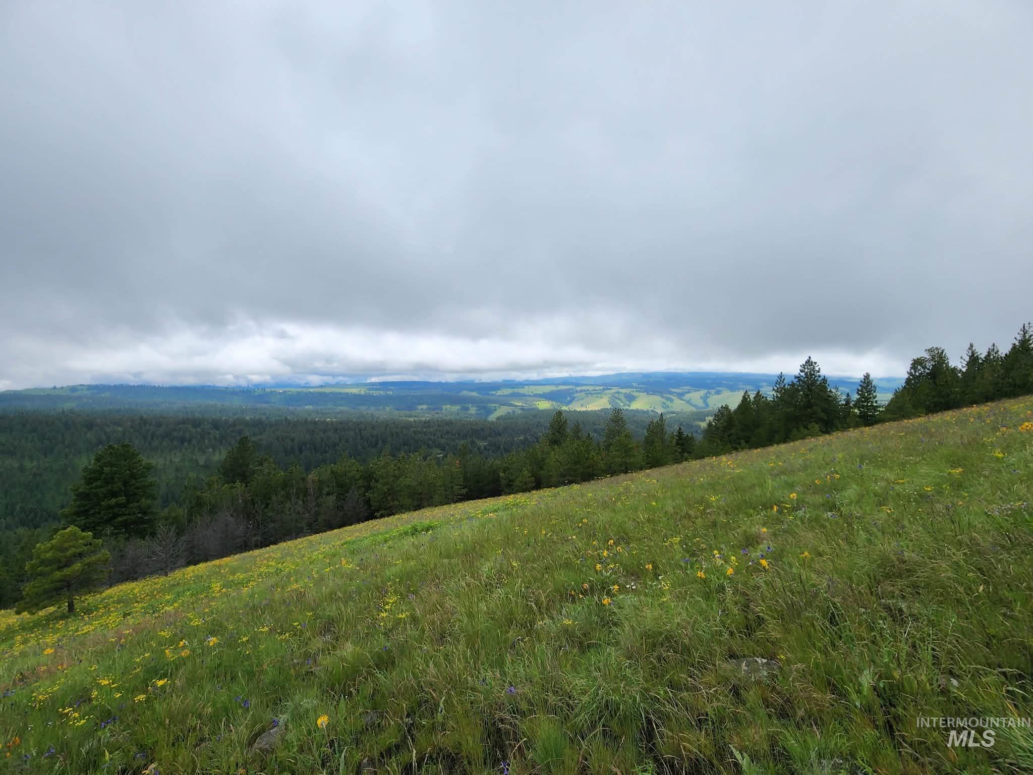 Lot 91 TBD Pilgrim Ridge Road, White Bird, Idaho 83554, Land For Sale, Price $127,000,MLS 98992273