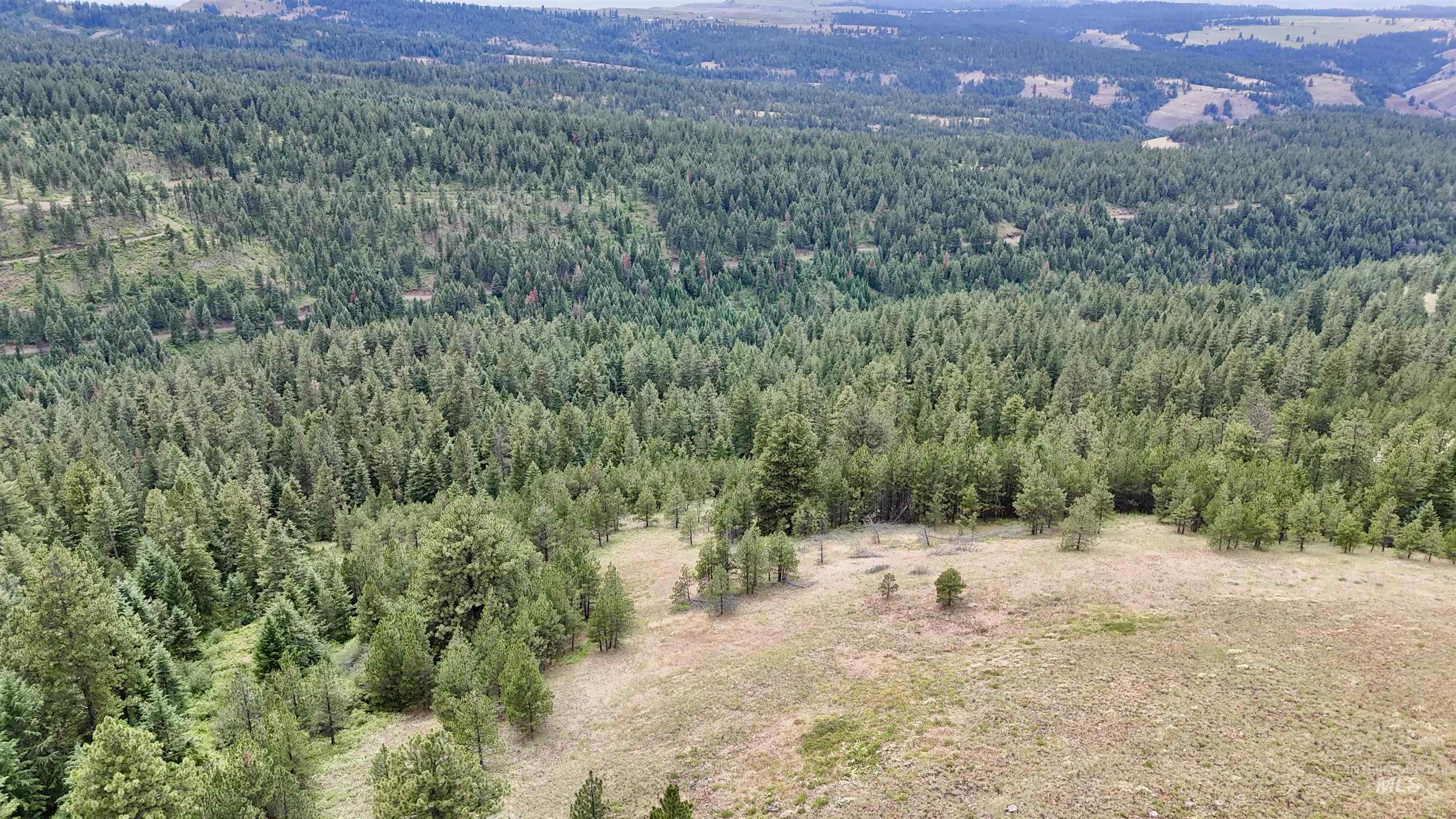 Lot 91 TBD Pilgrim Ridge Road, White Bird, Idaho 83554, Land For Sale, Price $127,000,MLS 98992273