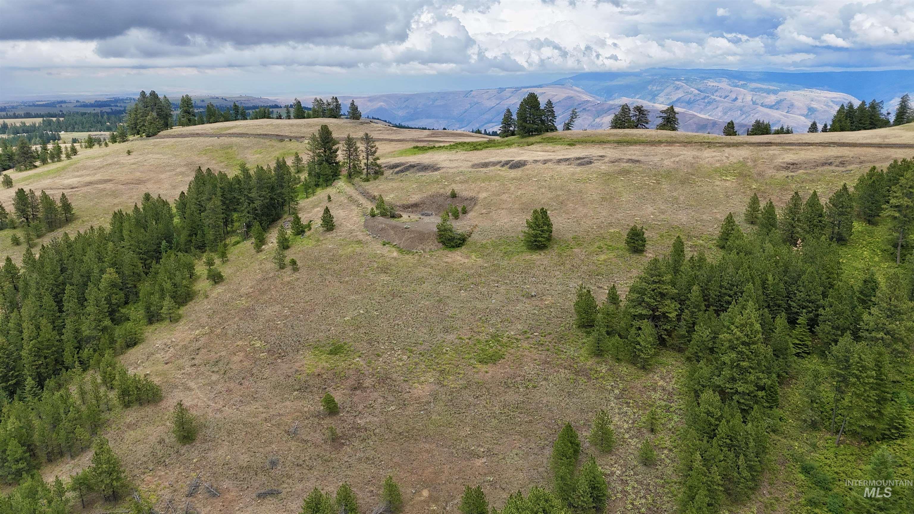 Lot 91 TBD Pilgrim Ridge Road, White Bird, Idaho 83554, Land For Sale, Price $127,000,MLS 98992273