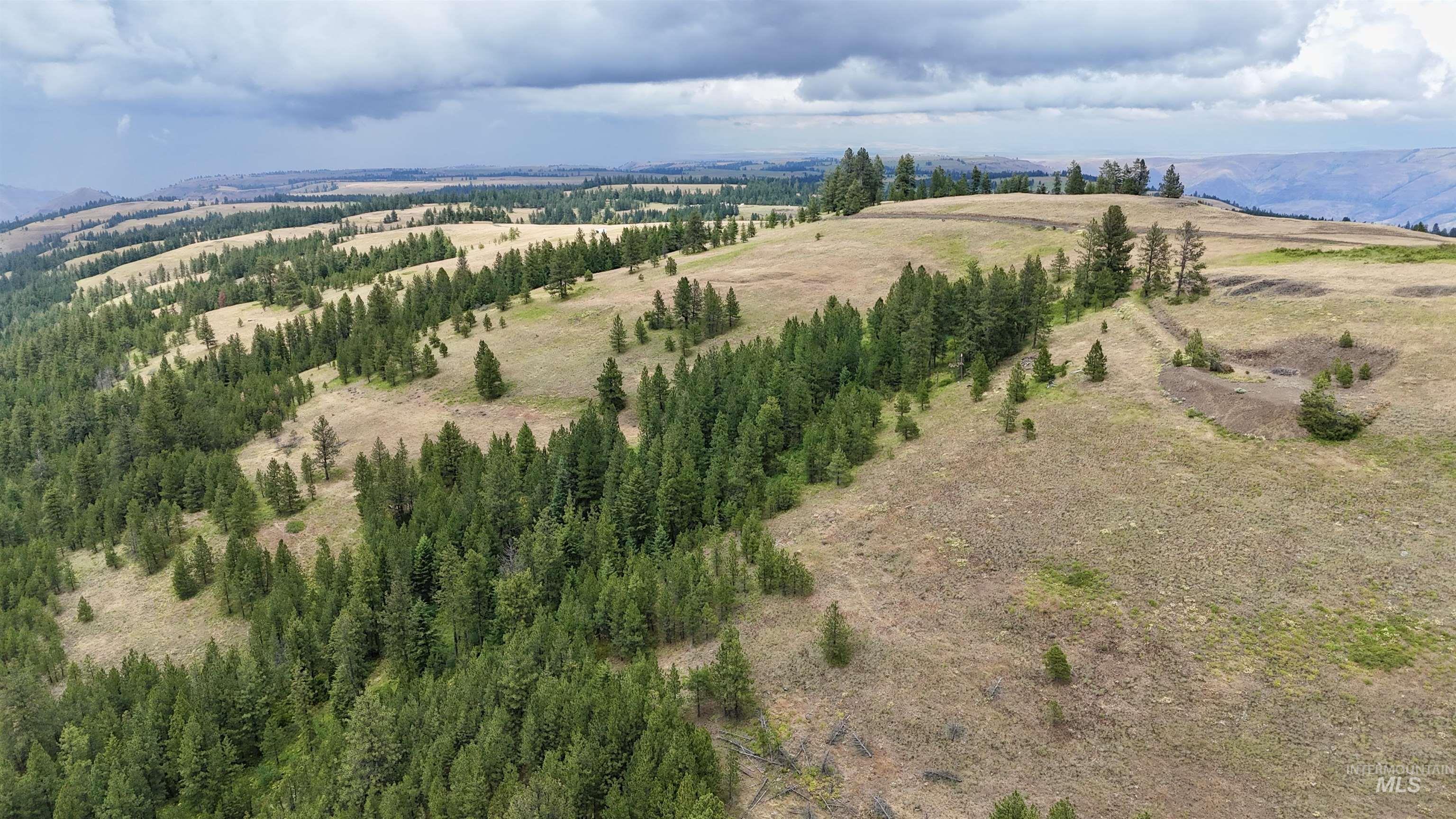 Lot 91 TBD Pilgrim Ridge Road, White Bird, Idaho 83554, Land For Sale, Price $127,000,MLS 98992273