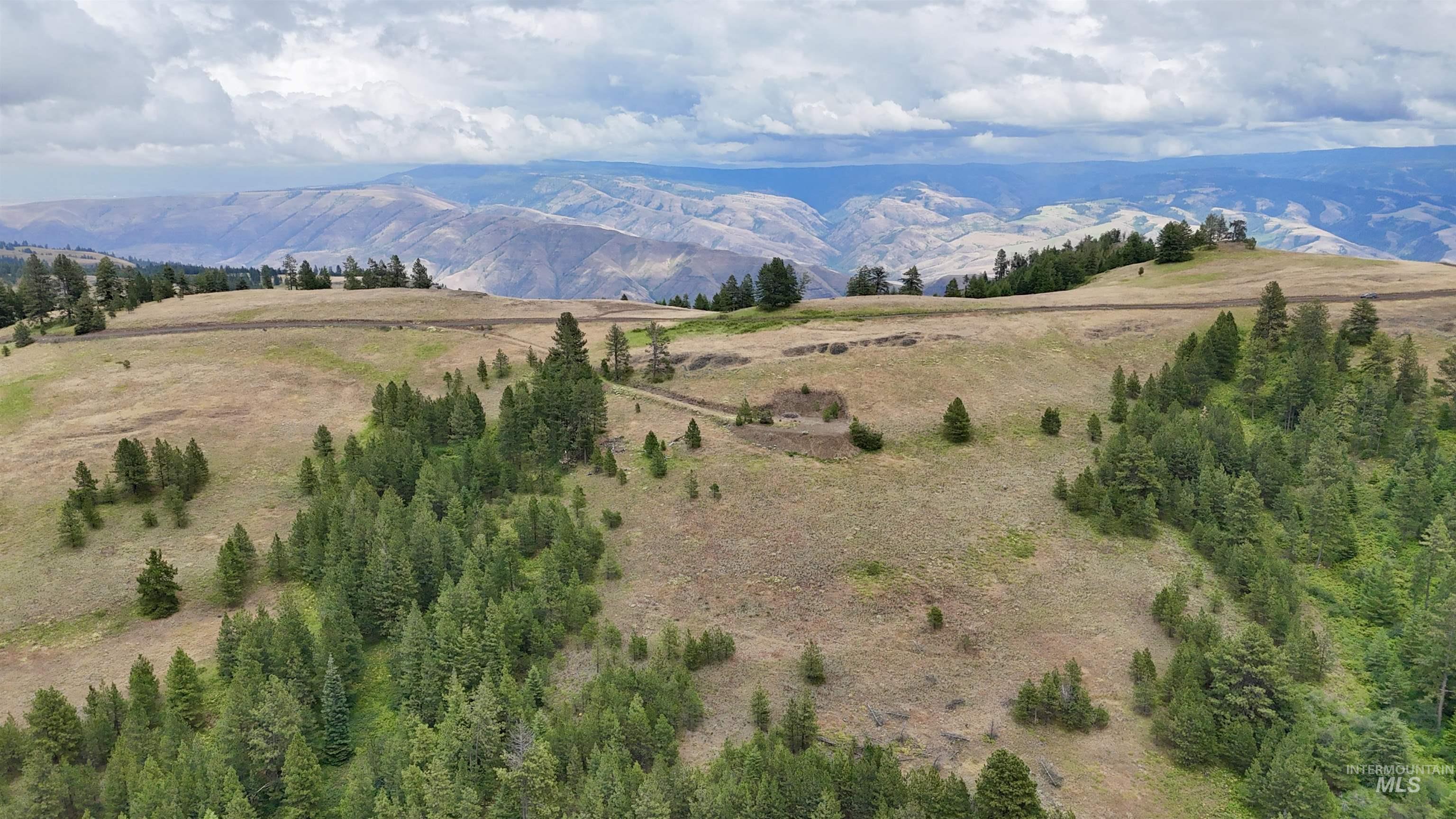 Lot 91 TBD Pilgrim Ridge Road, White Bird, Idaho 83554, Land For Sale, Price $127,000,MLS 98992273