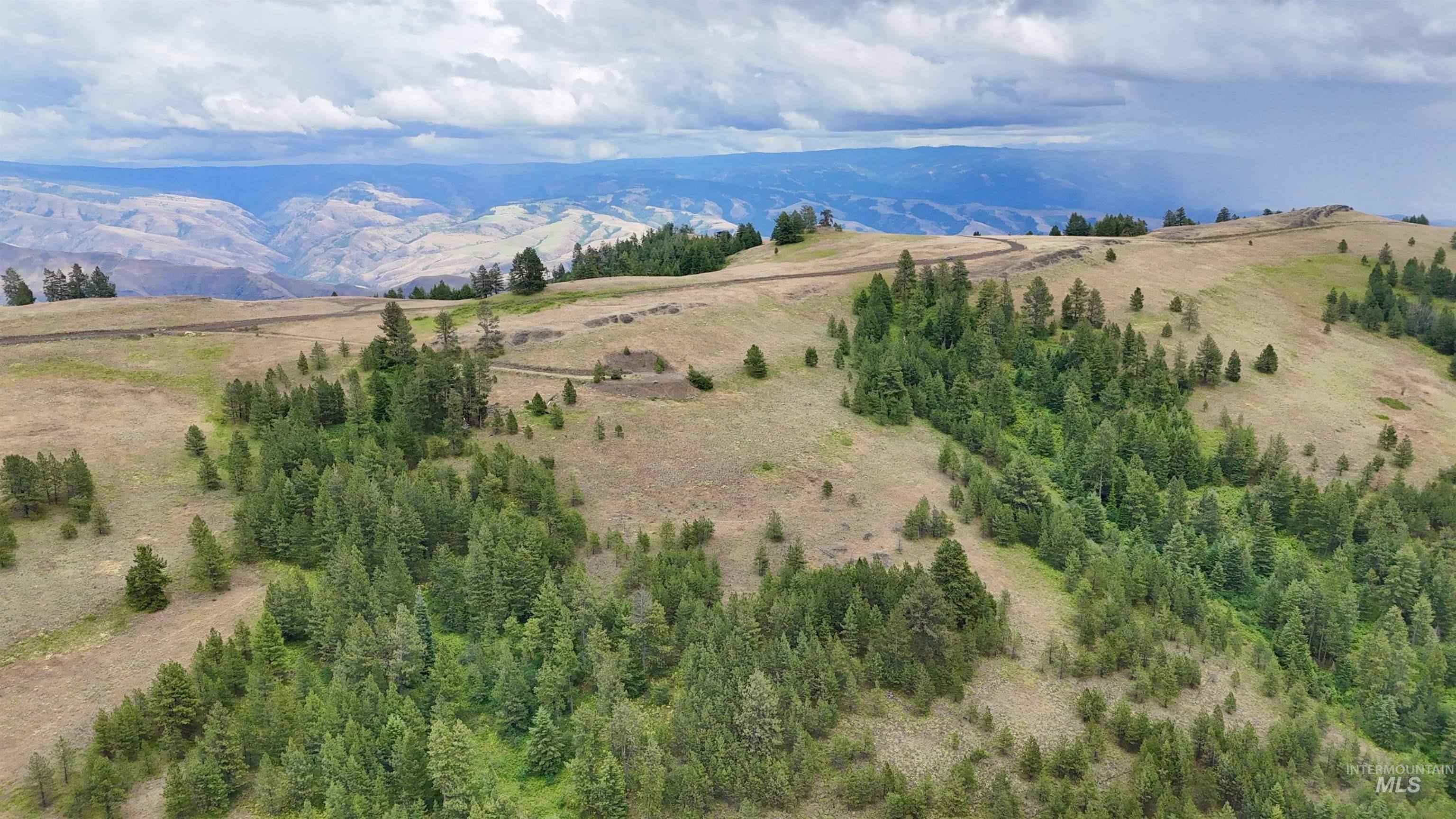 Lot 91 TBD Pilgrim Ridge Road, White Bird, Idaho 83554, Land For Sale, Price $127,000,MLS 98992273