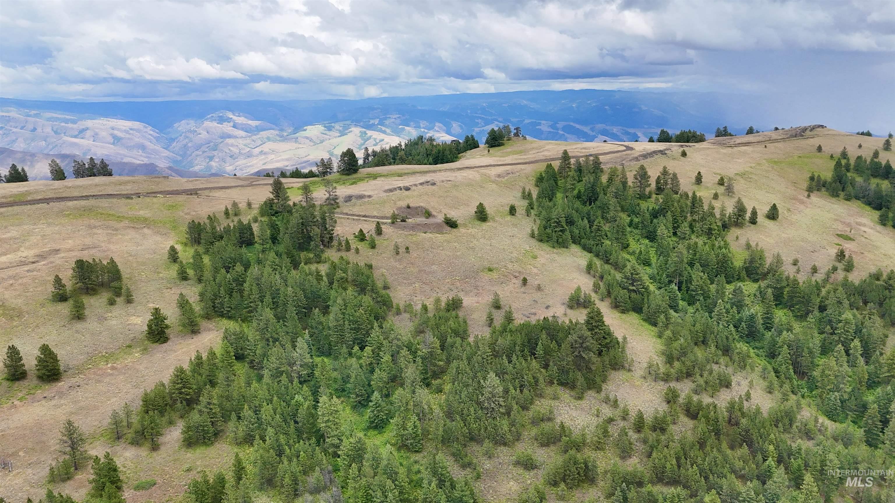 Lot 91 TBD Pilgrim Ridge Road, White Bird, Idaho 83554, Land For Sale, Price $127,000,MLS 98992273