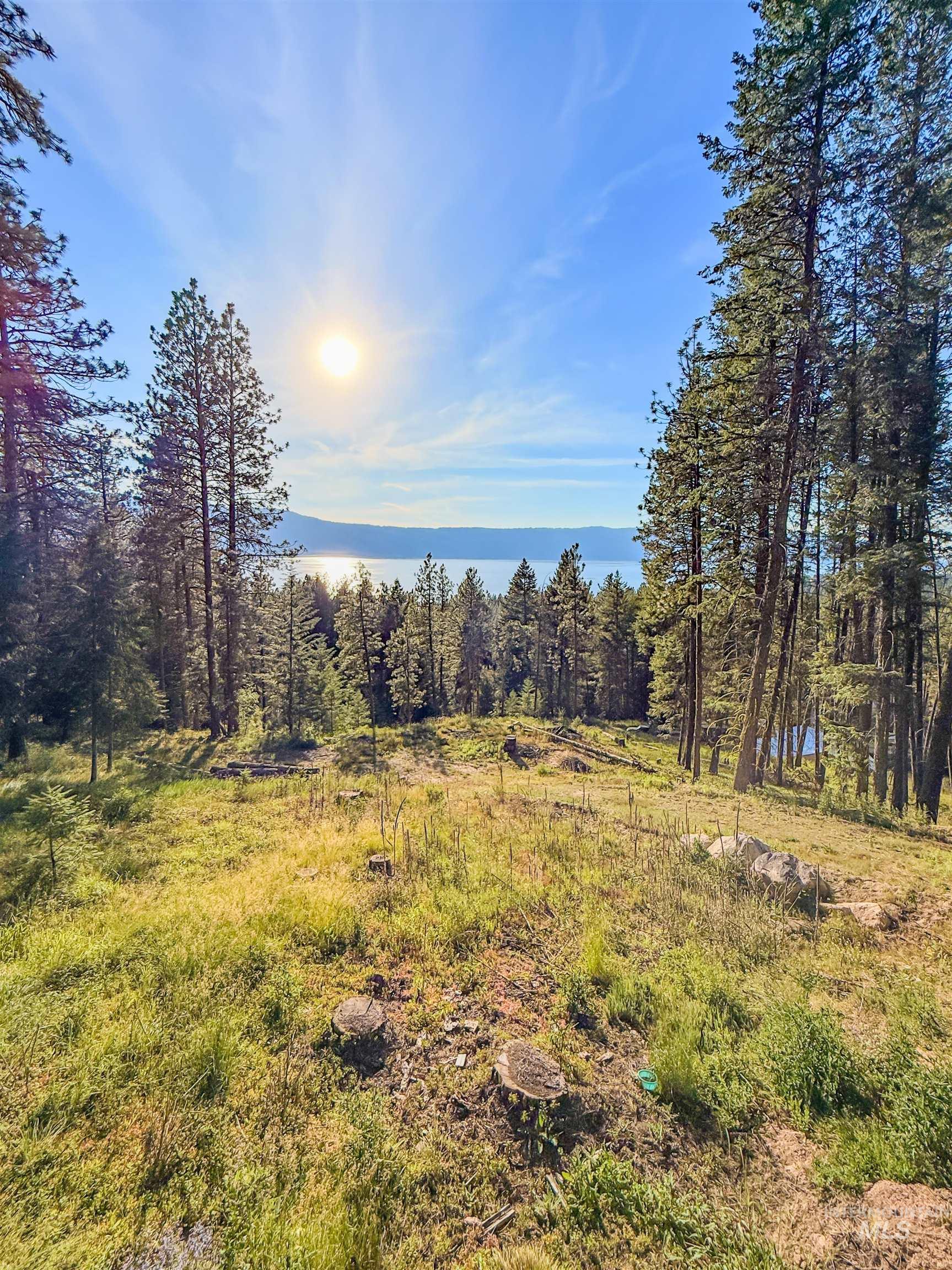 1309 Laurel Drive, Cascade, Idaho 83611, 1 Bedroom, 1 Bathroom, Residential For Sale, Price $350,000, 98992299