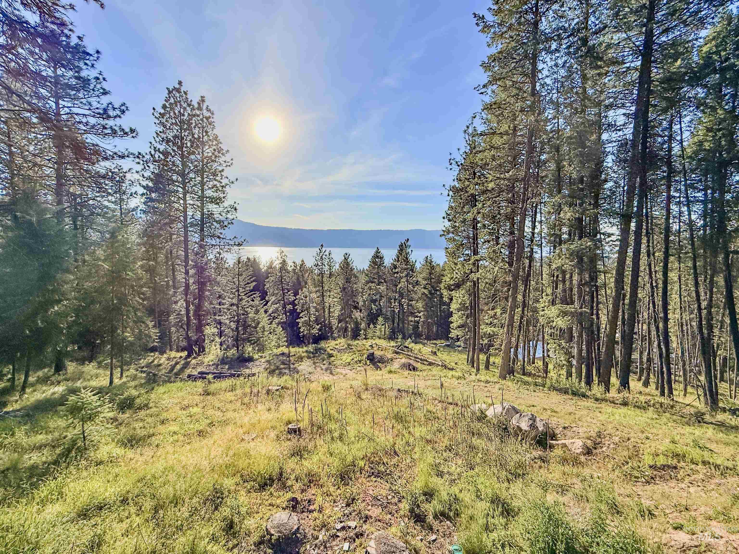 1309 Laurel Drive, Cascade, Idaho 83611, 1 Bedroom, 1 Bathroom, Residential For Sale, Price $350,000, 98992299