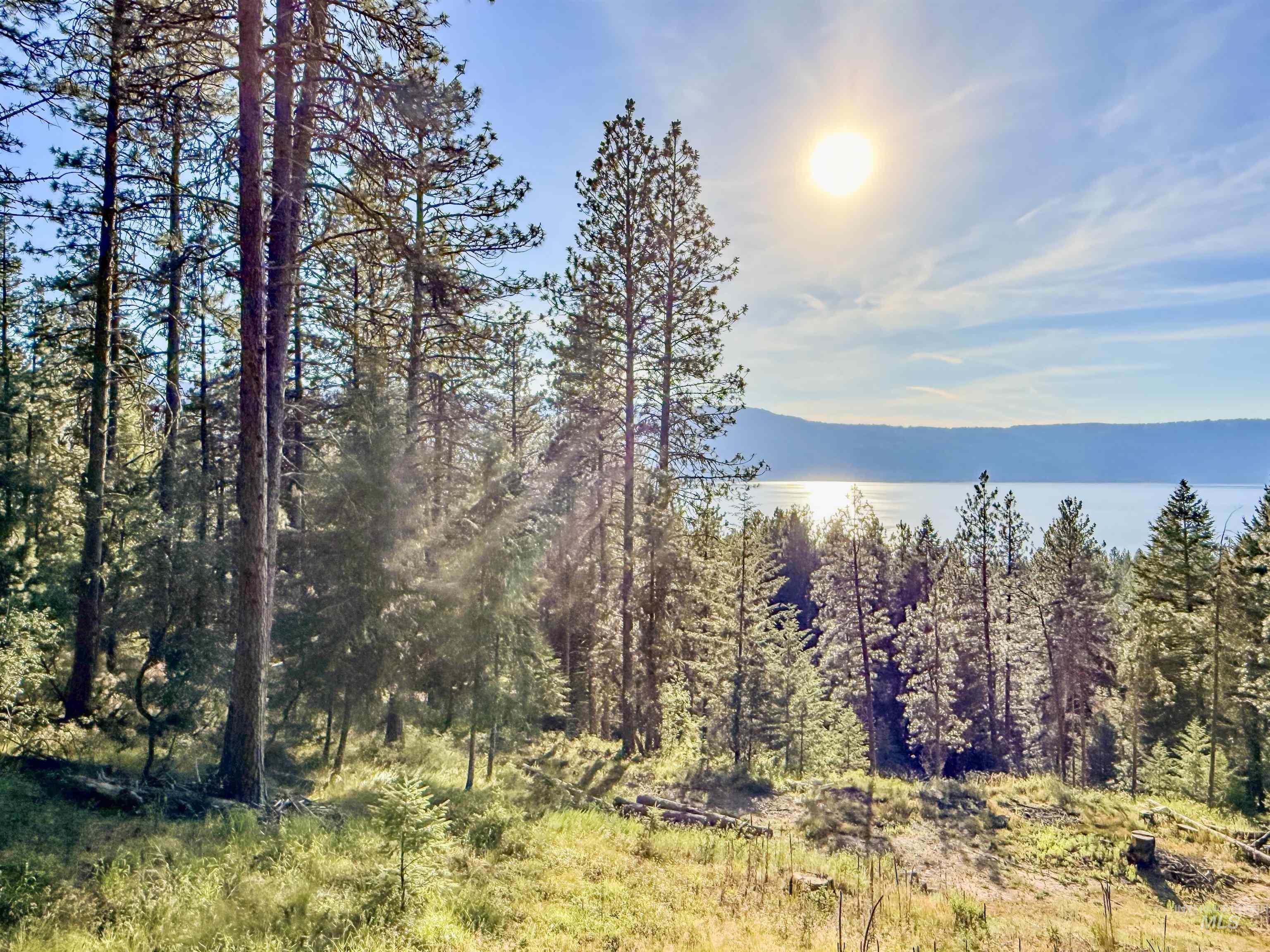 1309 Laurel Drive, Cascade, Idaho 83611, 1 Bedroom, 1 Bathroom, Residential For Sale, Price $350,000, 98992299