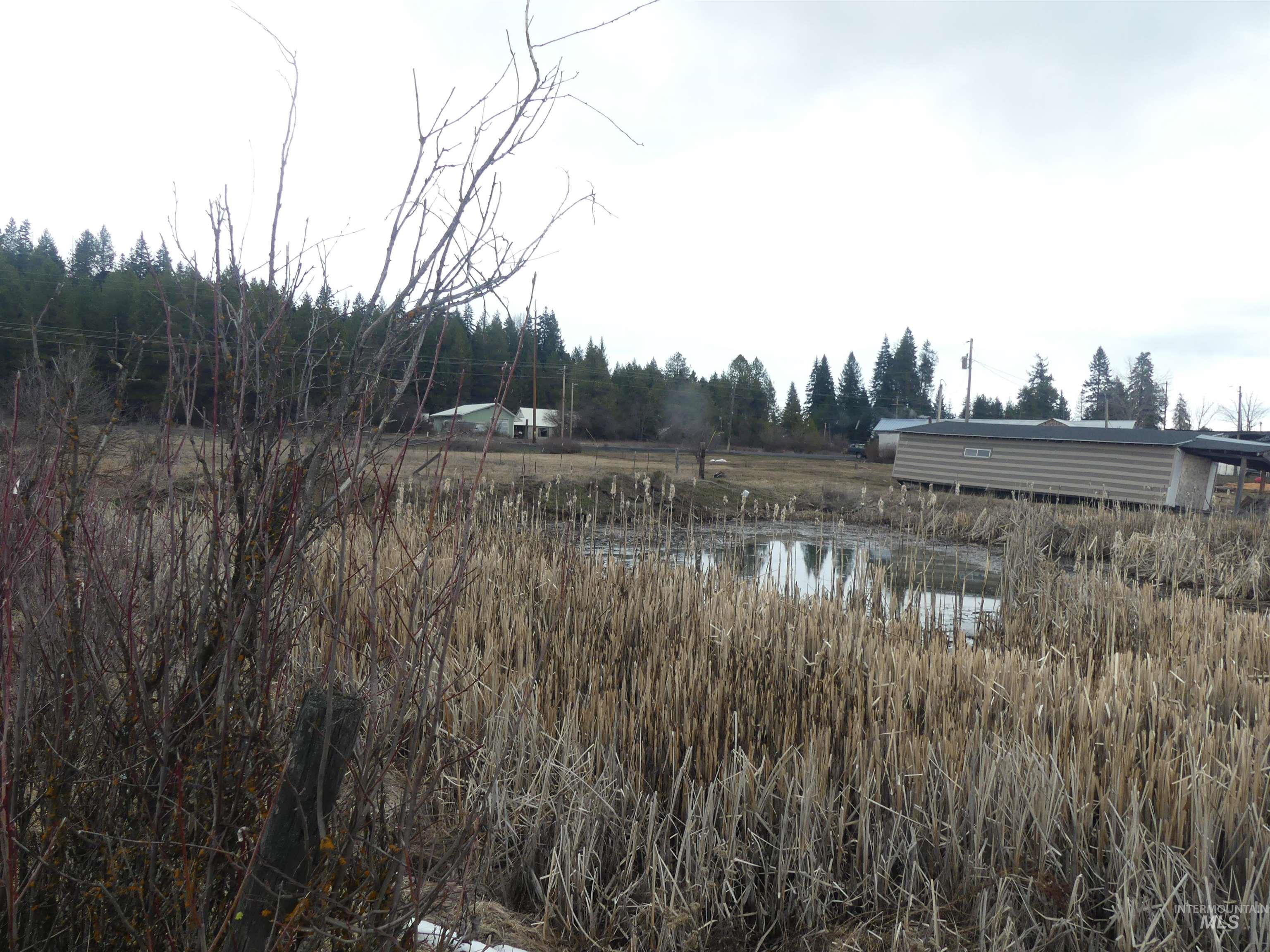 901 W Pierce Ave, Weippe, Idaho 83553, Land For Sale, Price $120,000, 98992310