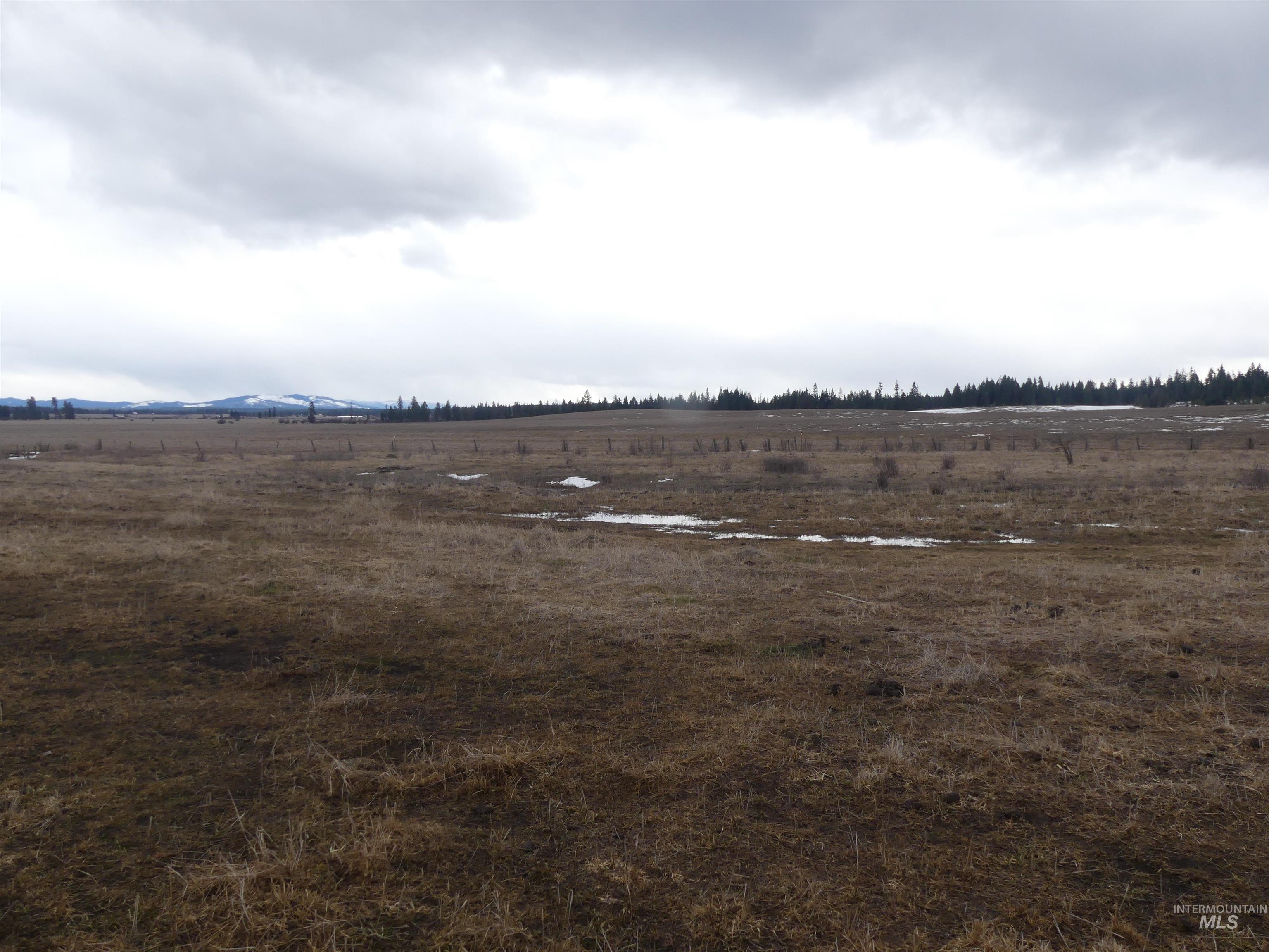 901 W Pierce Ave, Weippe, Idaho 83553, Land For Sale, Price $120,000, 98992310