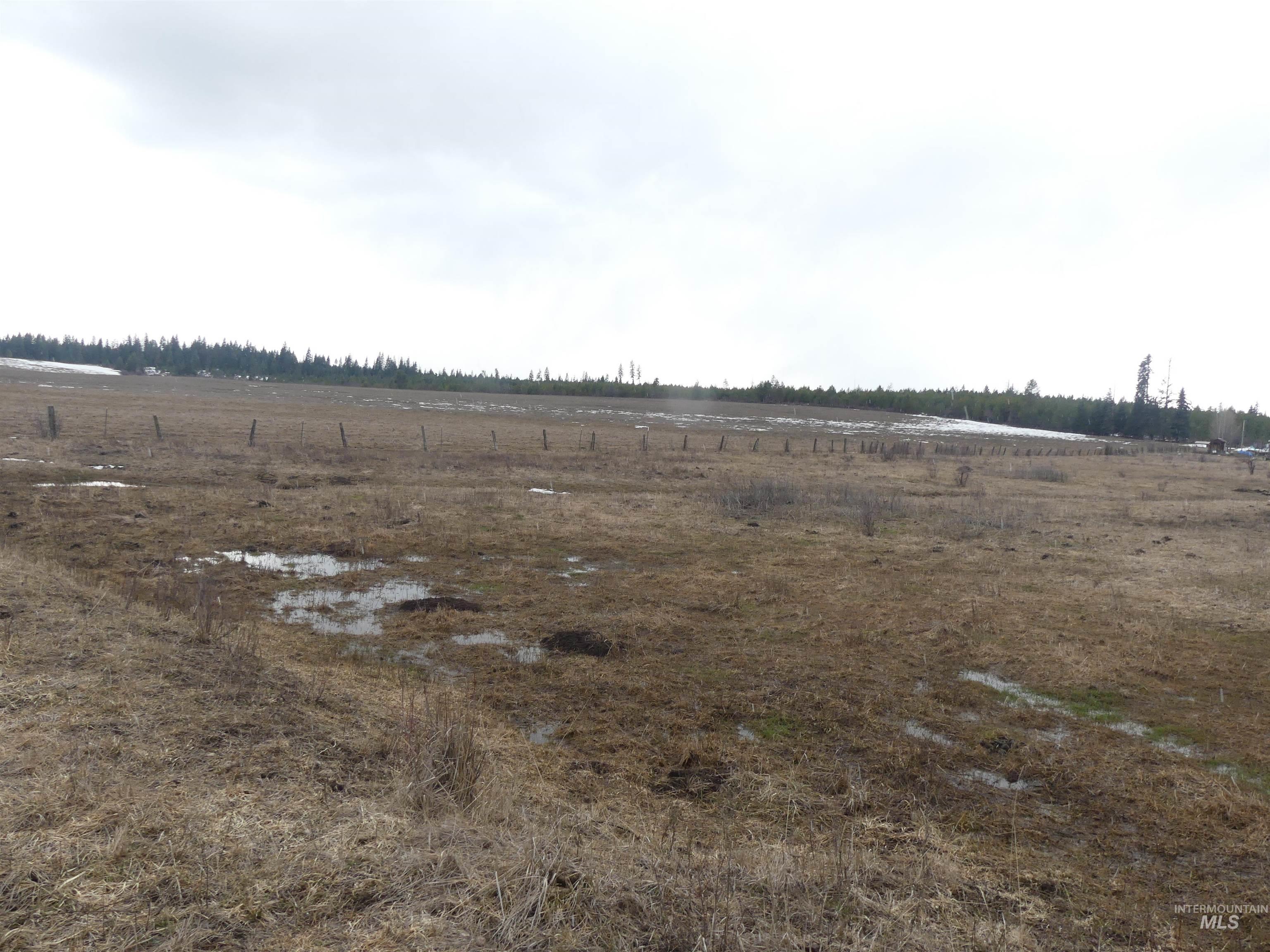 901 W Pierce Ave, Weippe, Idaho 83553, Land For Sale, Price $120,000, 98992310