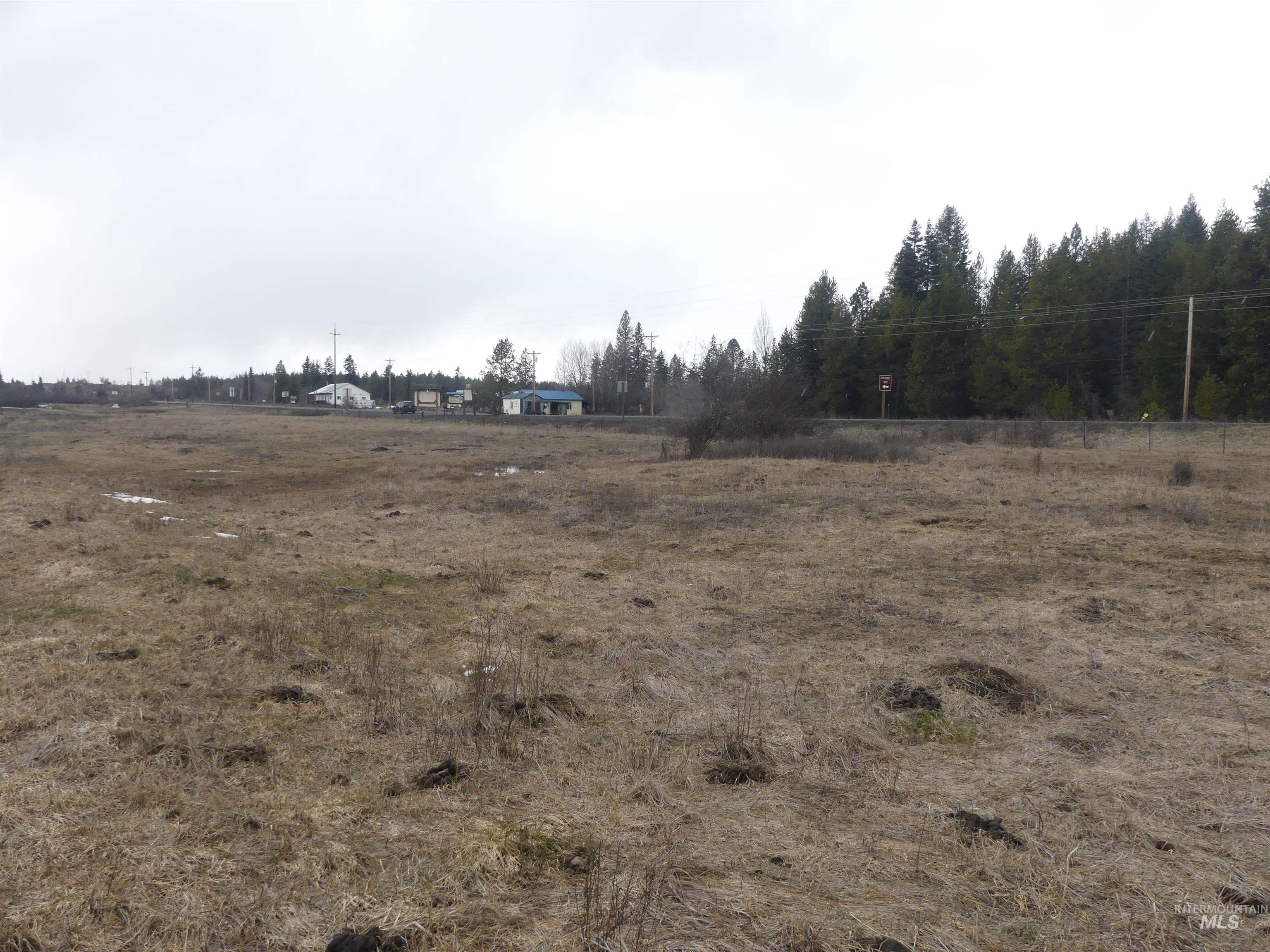 901 W Pierce Ave, Weippe, Idaho 83553, Land For Sale, Price $120,000, 98992310