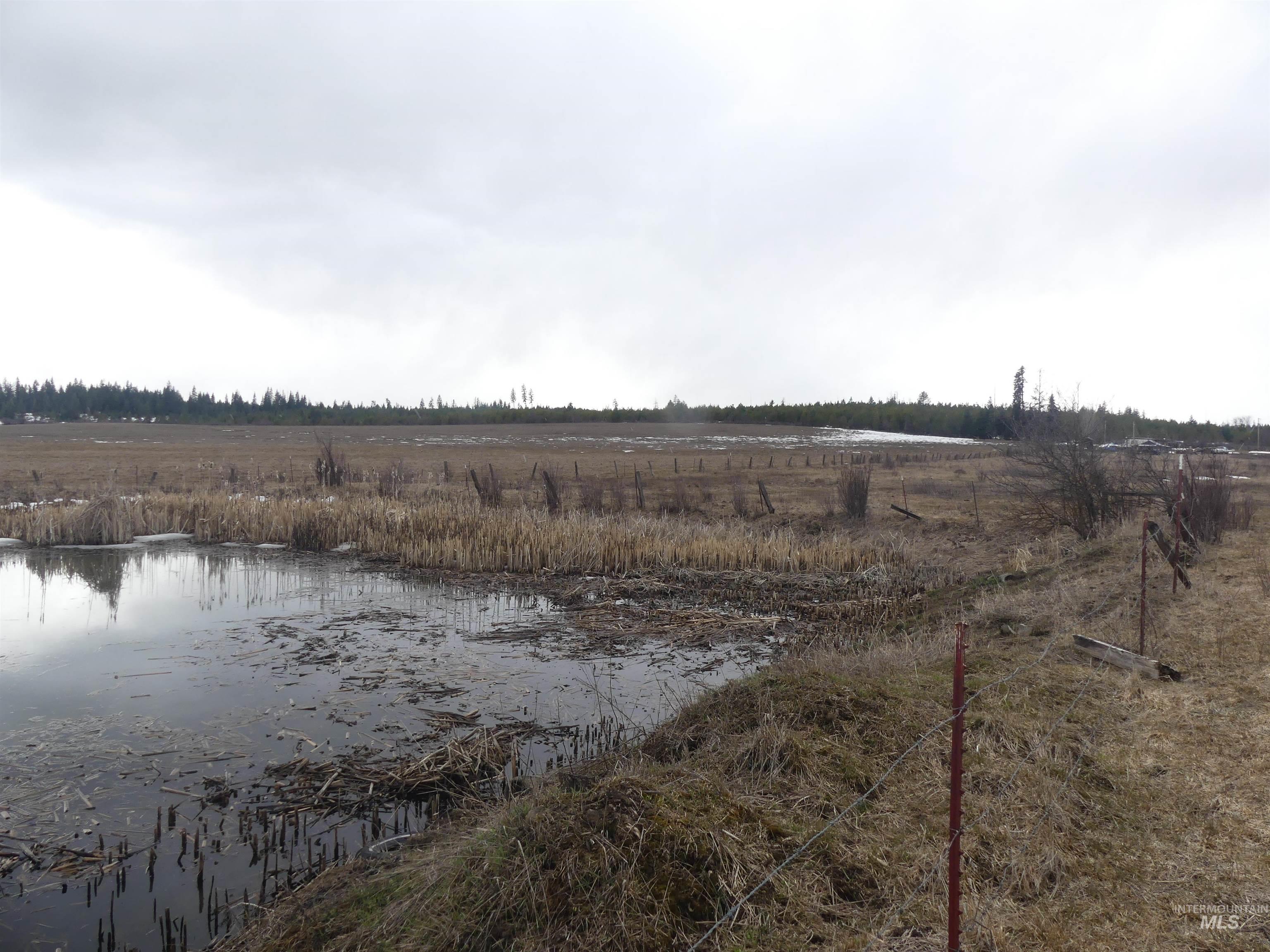 901 W Pierce Ave, Weippe, Idaho 83553, Land For Sale, Price $120,000, 98992310