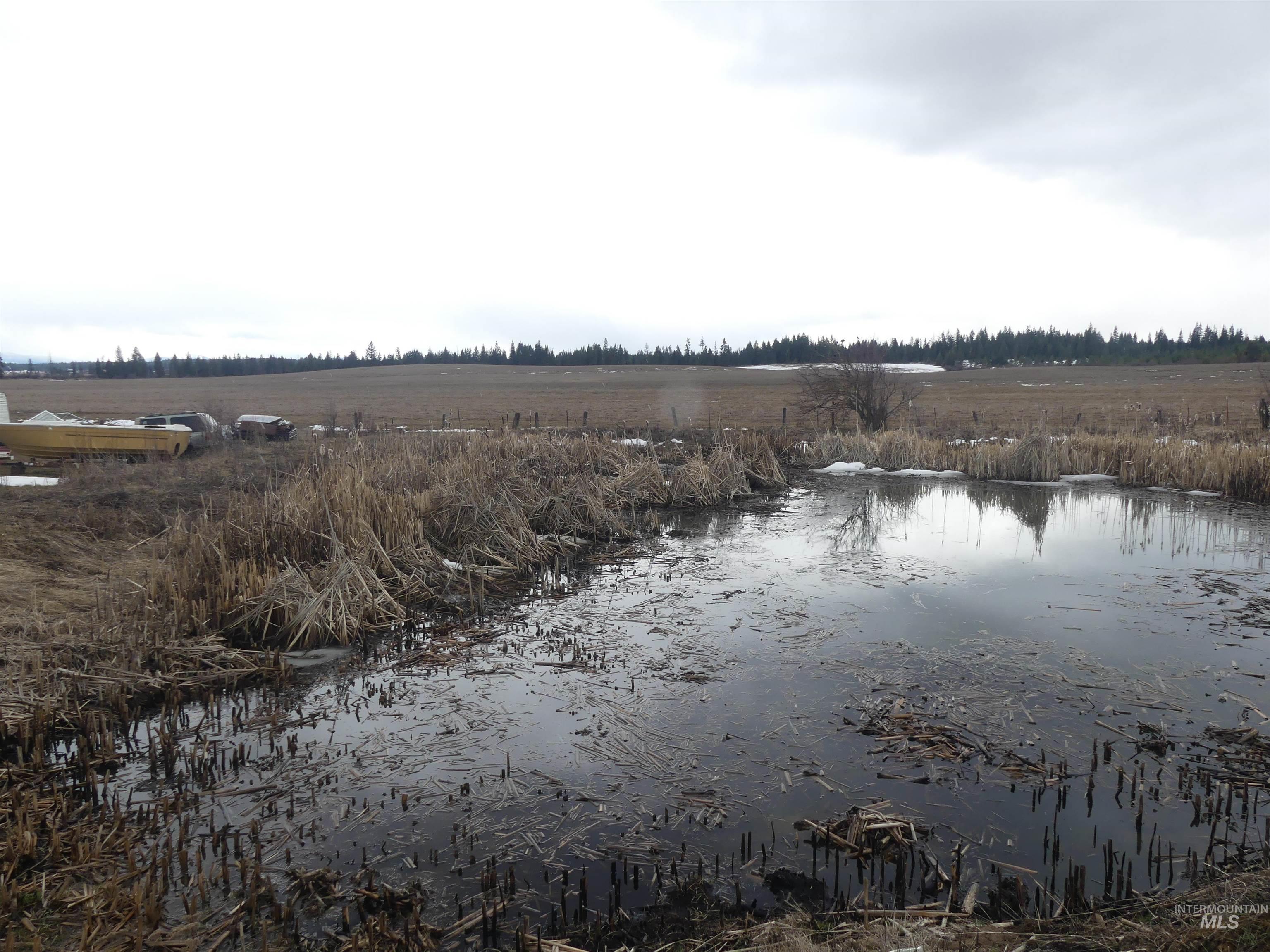 901 W Pierce Ave, Weippe, Idaho 83553, Land For Sale, Price $120,000, 98992310