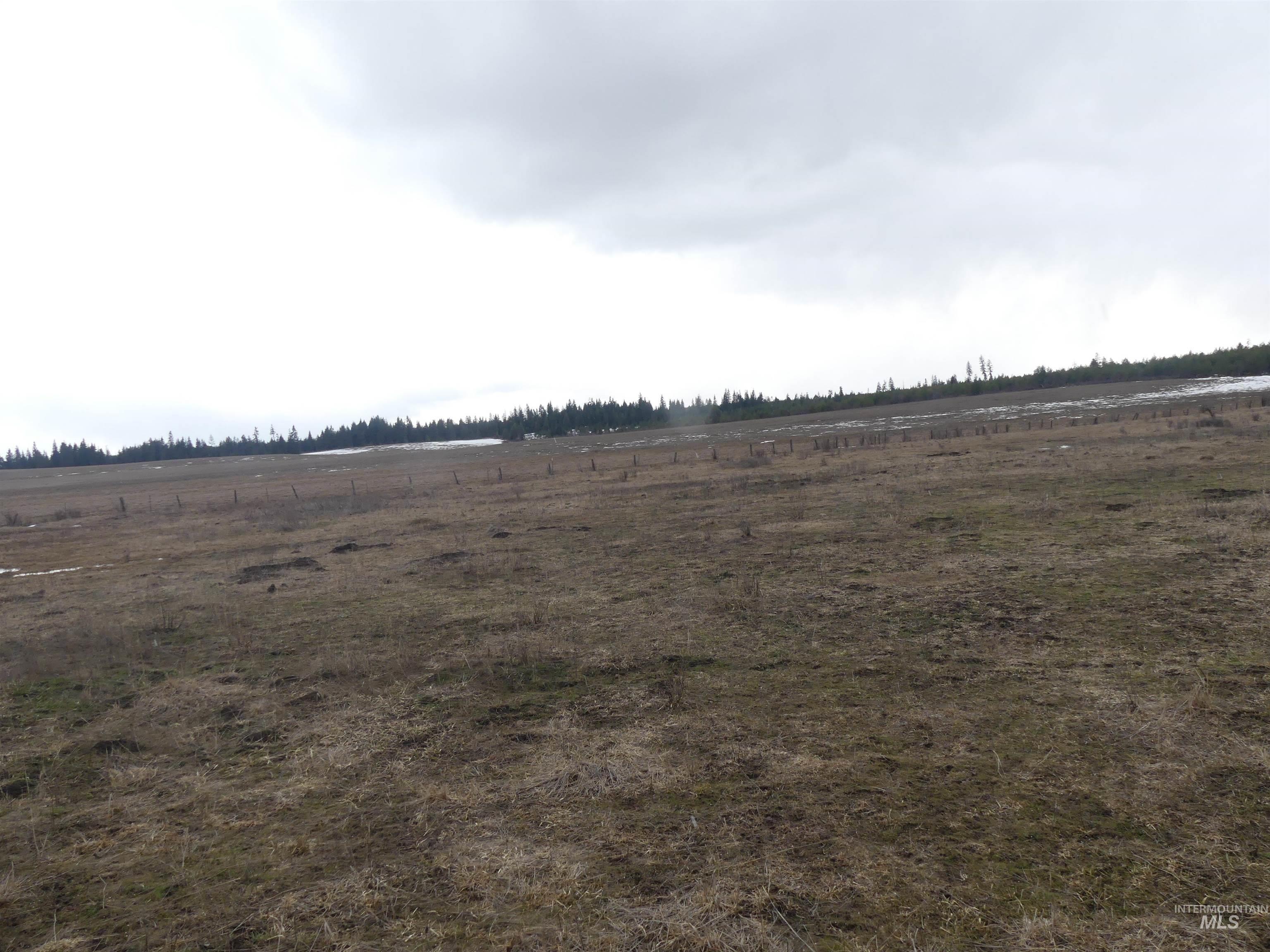 901 W Pierce Ave, Weippe, Idaho 83553, Land For Sale, Price $120,000, 98992310