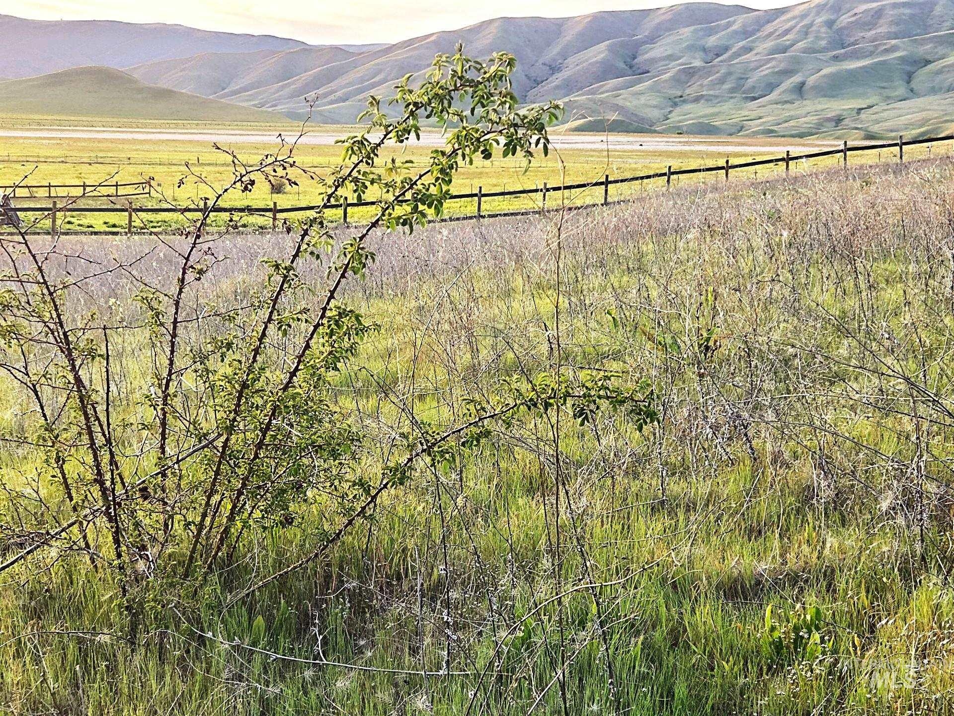 TBD Bethel Rd, Horseshoe Bend, Idaho 83629, Land For Sale, Price $139,900, 98992332