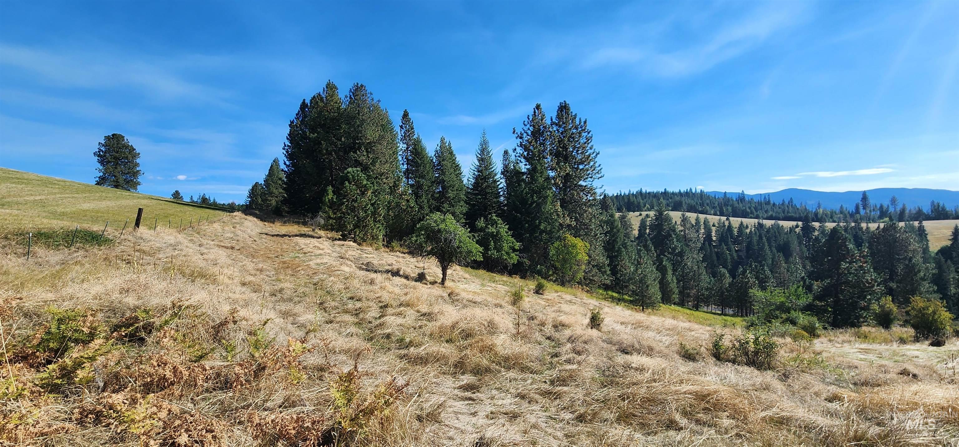 TBD Red Fir Rd, Kooskia, Idaho 83539, Land For Sale, Price $139,900,MLS 98992351