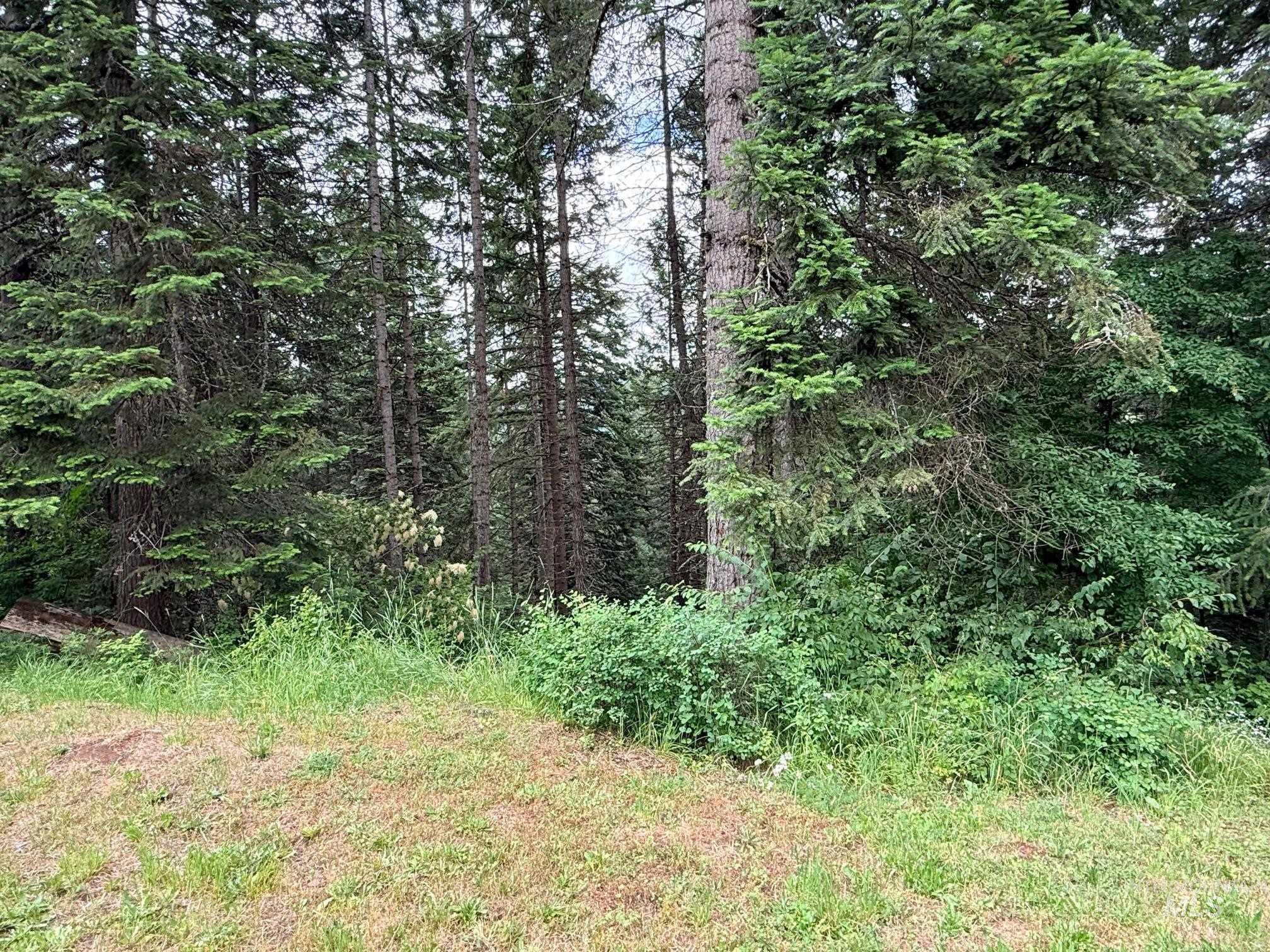 5742 Grangemont, Orofino, Idaho 83544, 2 Bedrooms, 1 Bathroom, Residential For Sale, Price $149,000,MLS 98992352