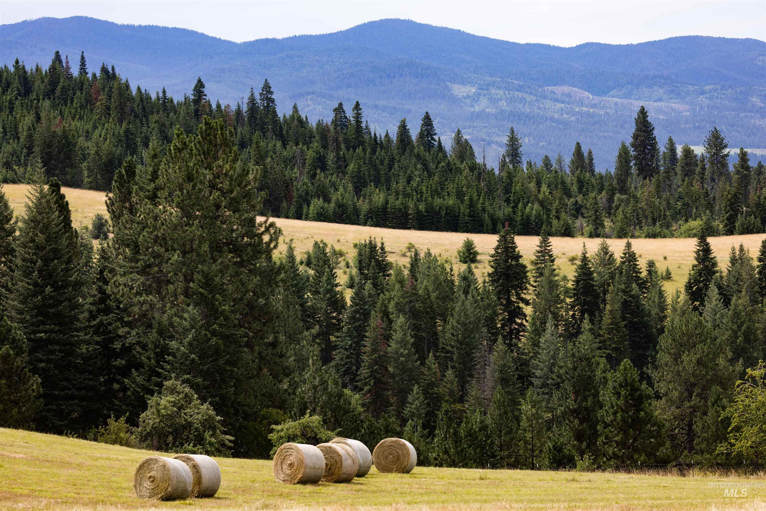 TBD Red Fir Rd, Kooskia, Idaho 83539, Land For Sale, Price $174,900,MLS 98992356