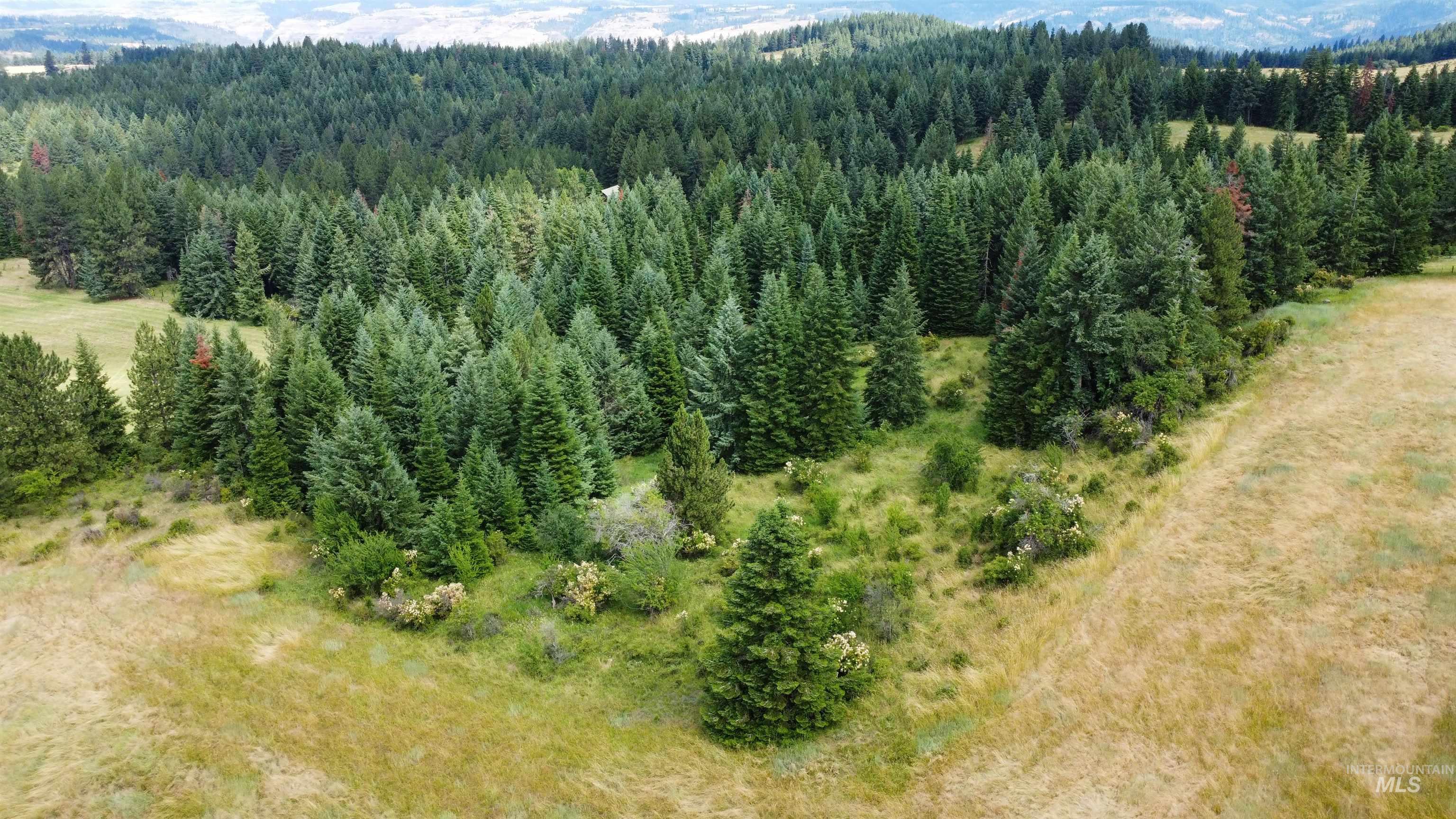 TBD Red Fir Rd, Kooskia, Idaho 83539, Land For Sale, Price $174,900,MLS 98992356