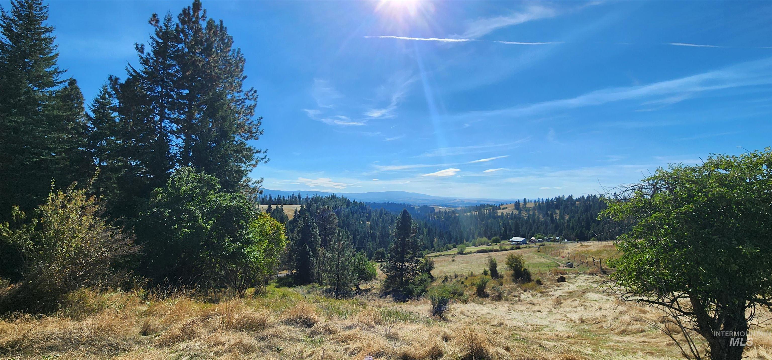 TBD Red Fir Rd, Kooskia, Idaho 83539, Land For Sale, Price $174,900,MLS 98992356